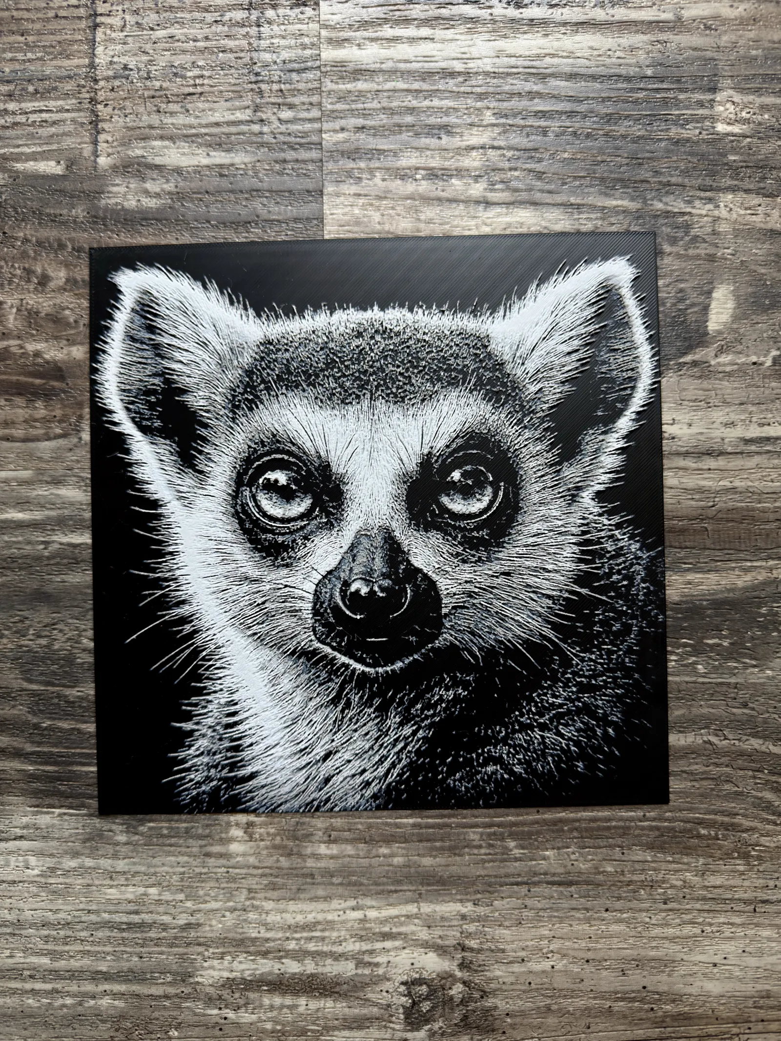 Ring-Tailed Lemur Wildlife Series