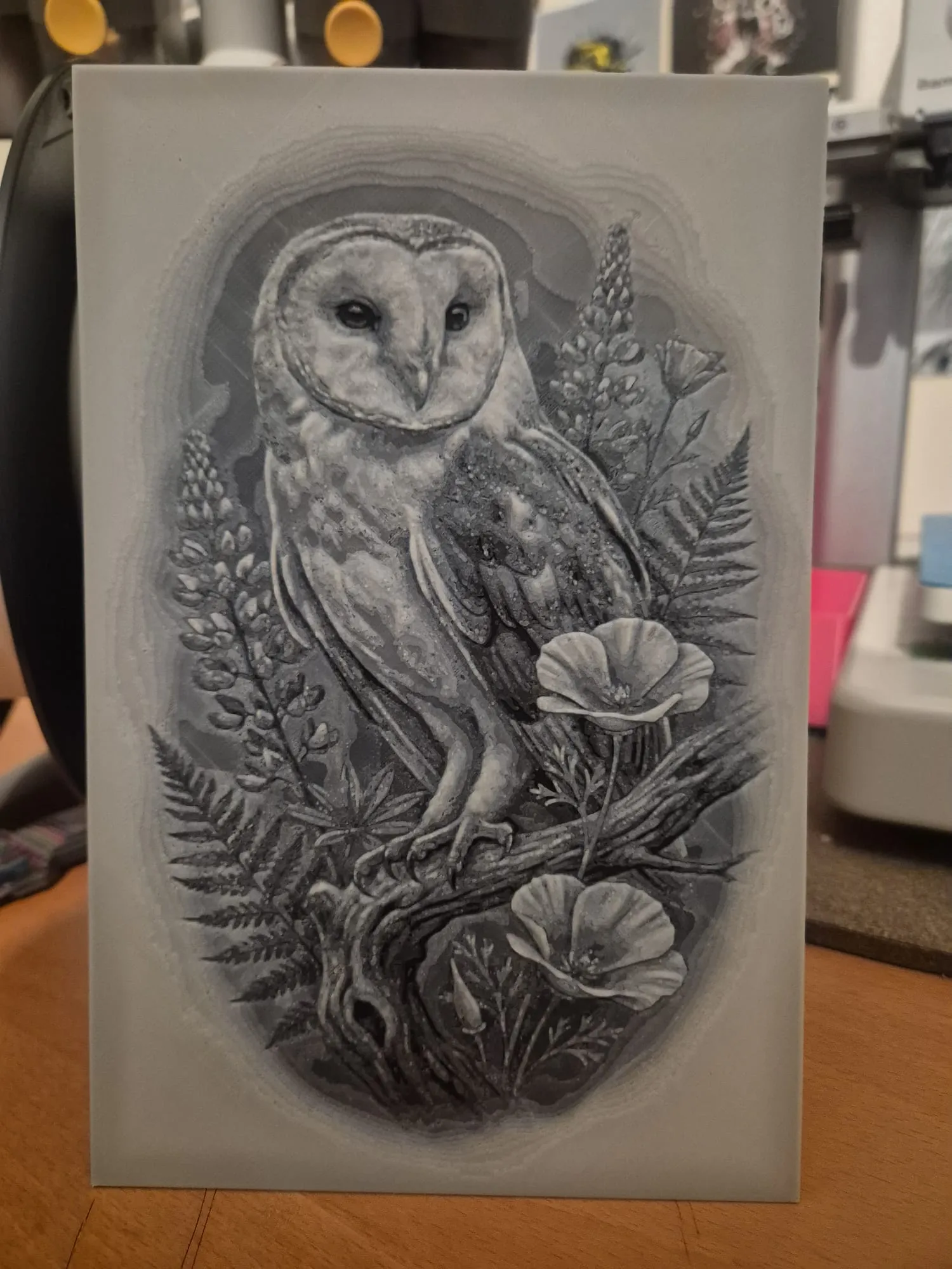 the owl
