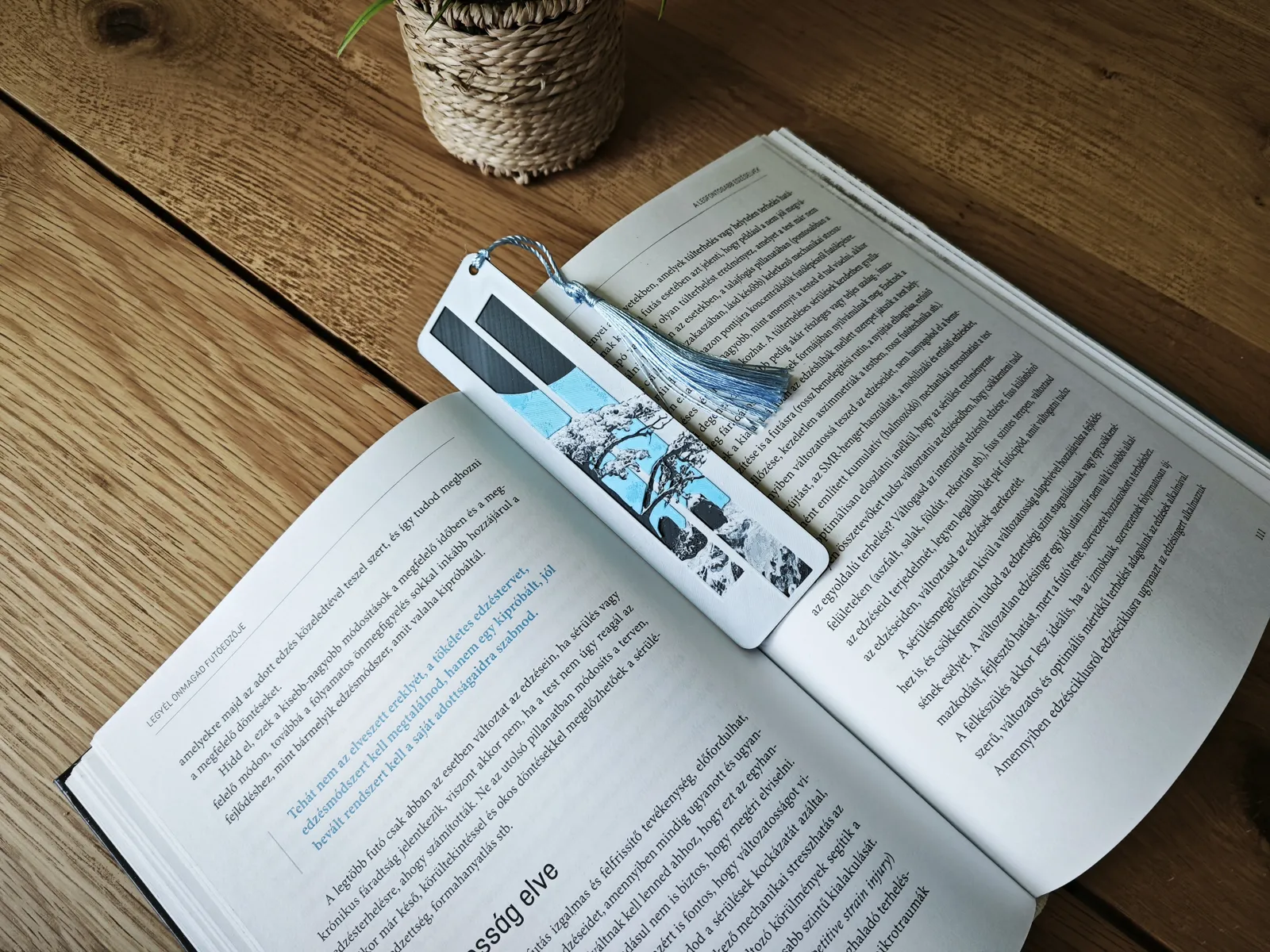Zen Window Bookmark