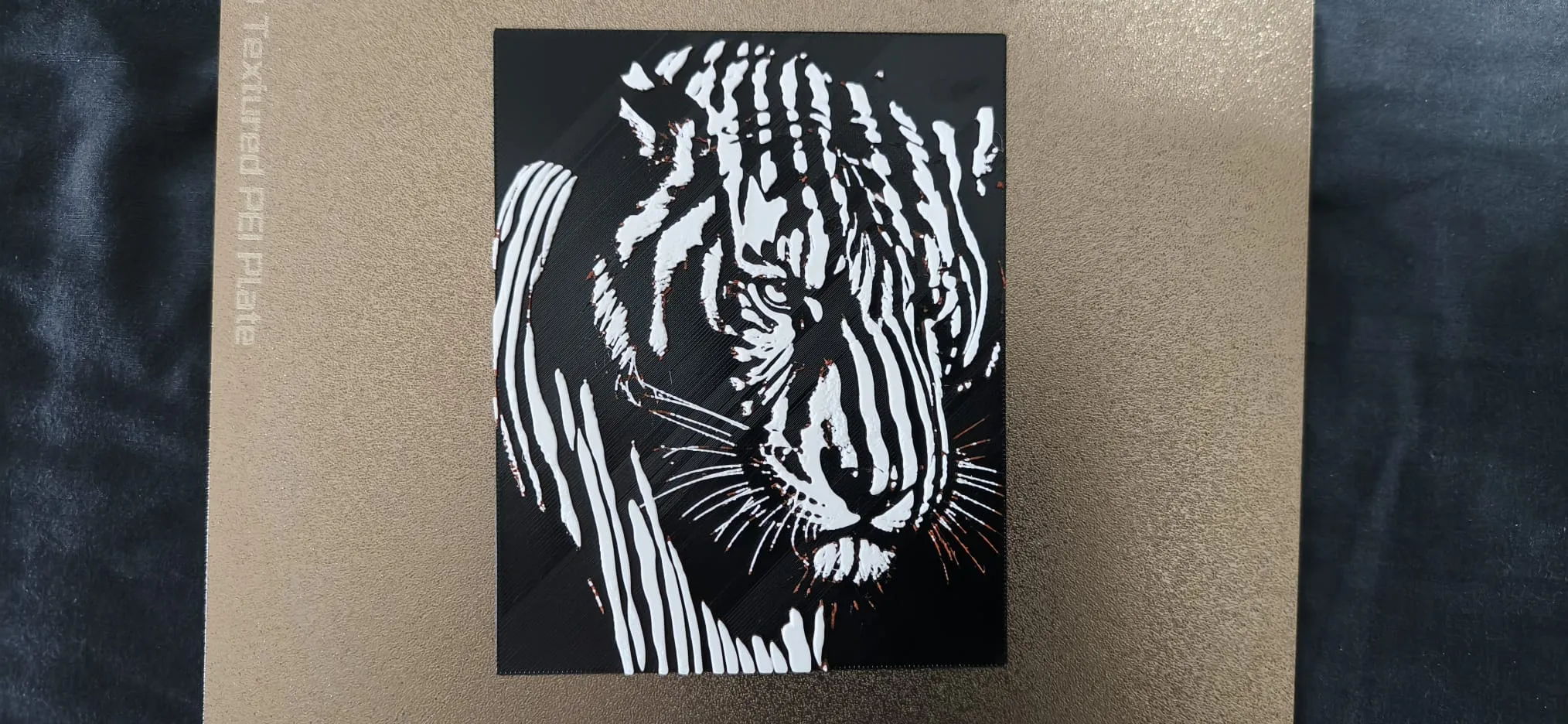 Striped Shadows Series #2 – Tiger Gaze HueForge