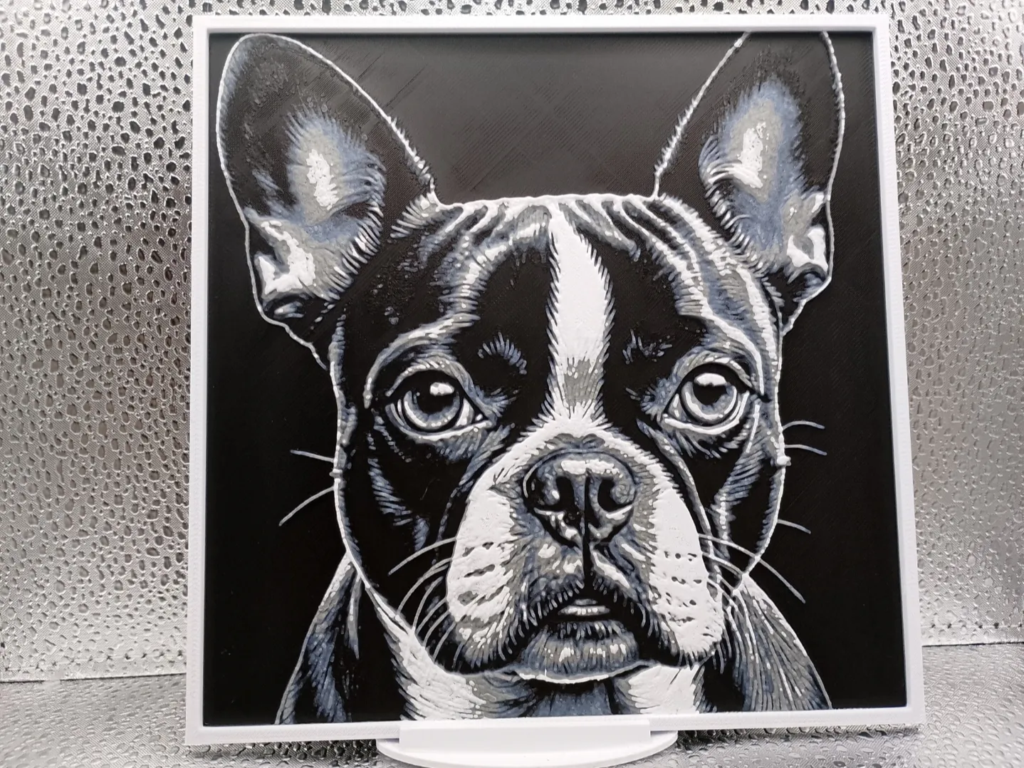 Boston Terrier hueforge