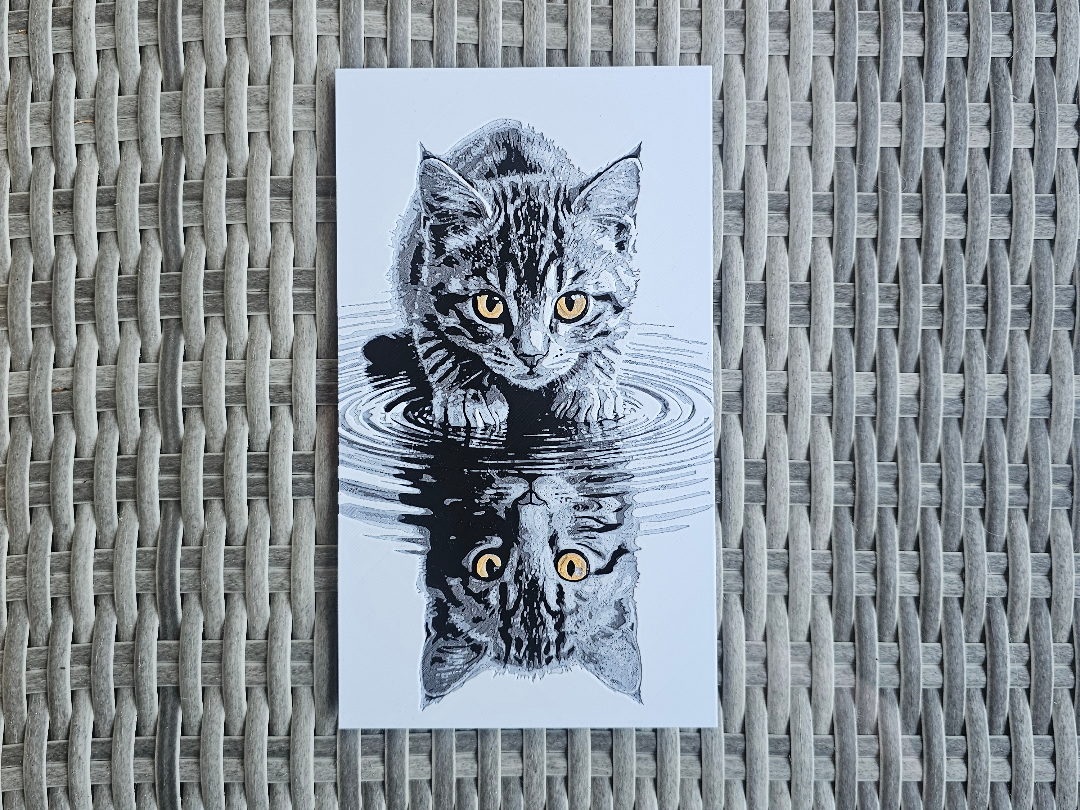 Katze Spiegelung im Wasser Tier Hueforge