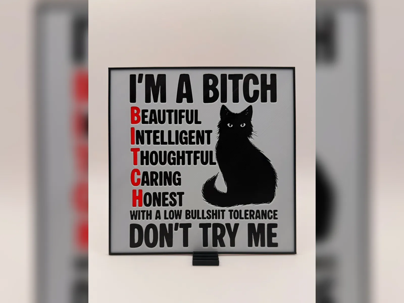 B.I.T.C.H. Cat HueForge Print