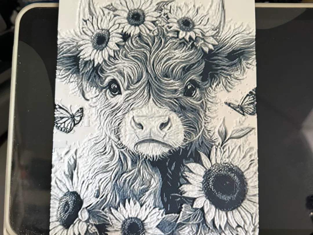 highland calf hueforge