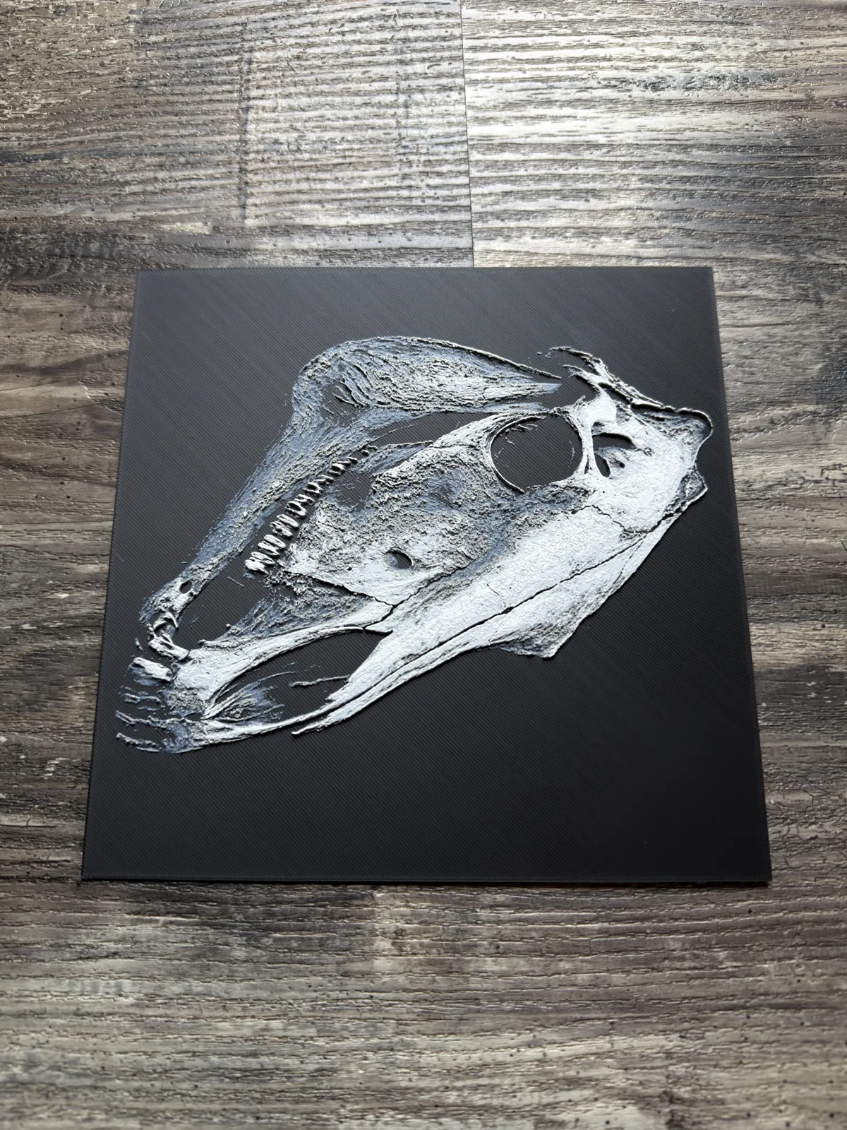 Horse Skull Series