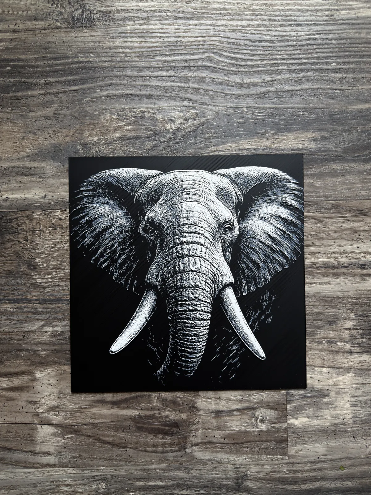 Elephant HueForge Wildlife Series