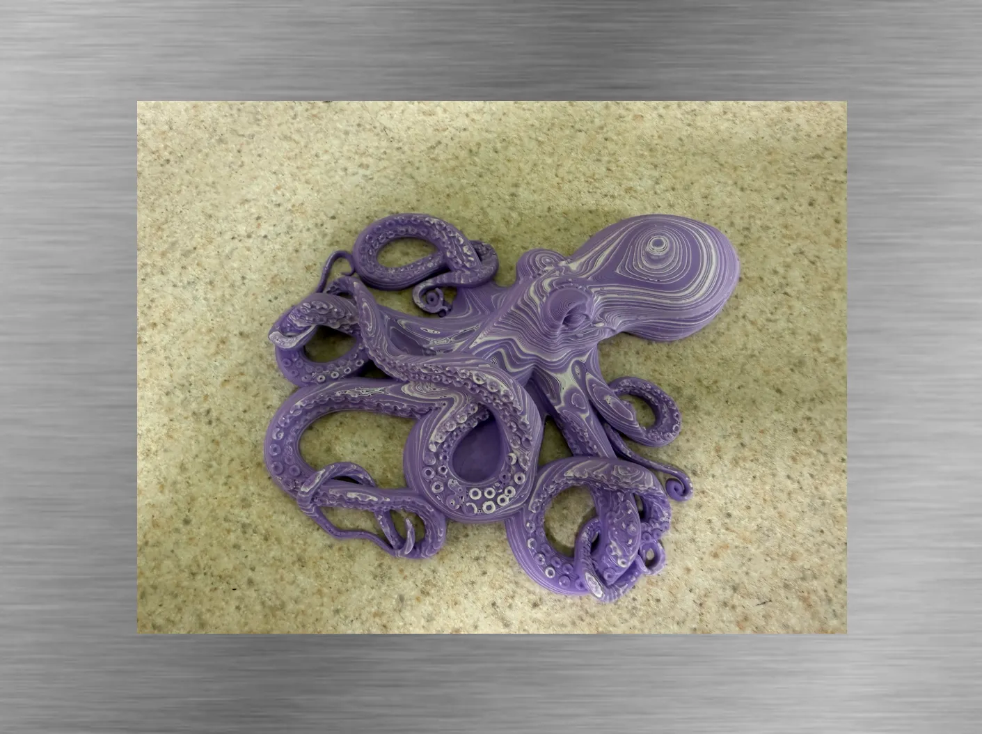 Octopus -Color Stacked Wall decoration