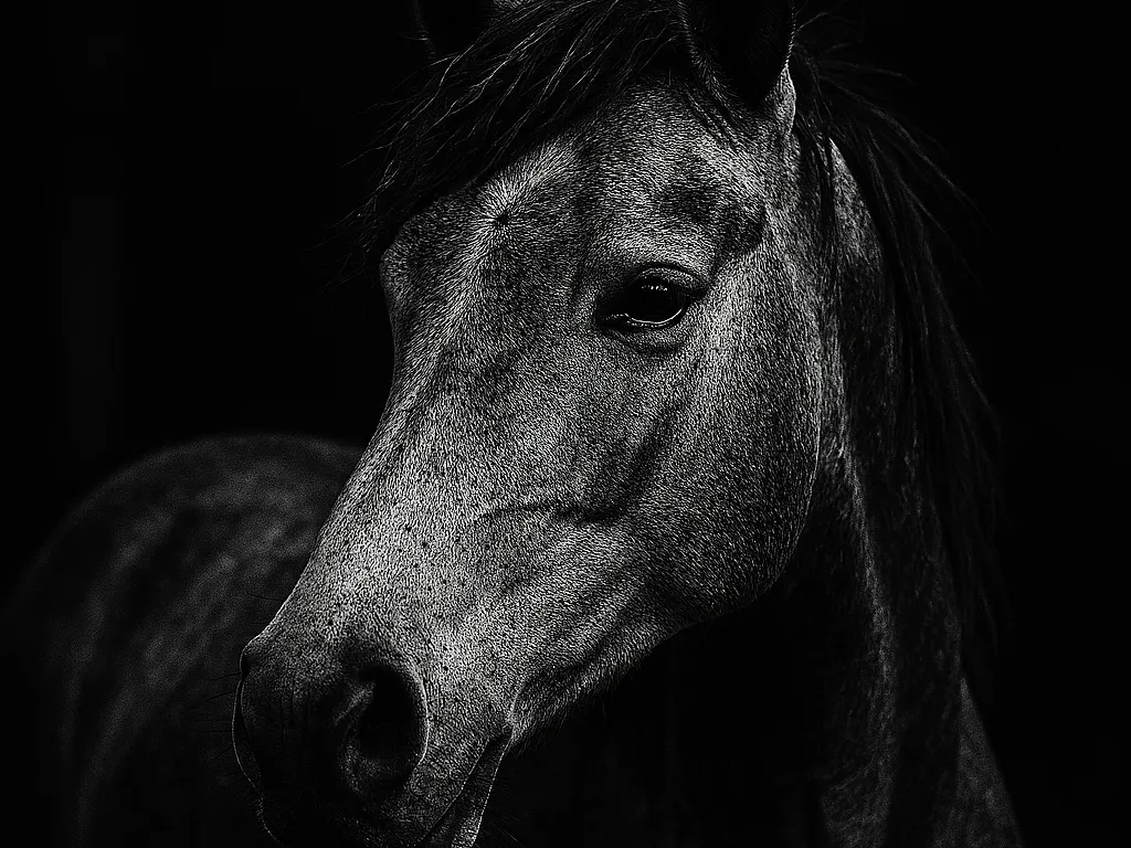 Hueforge Horse