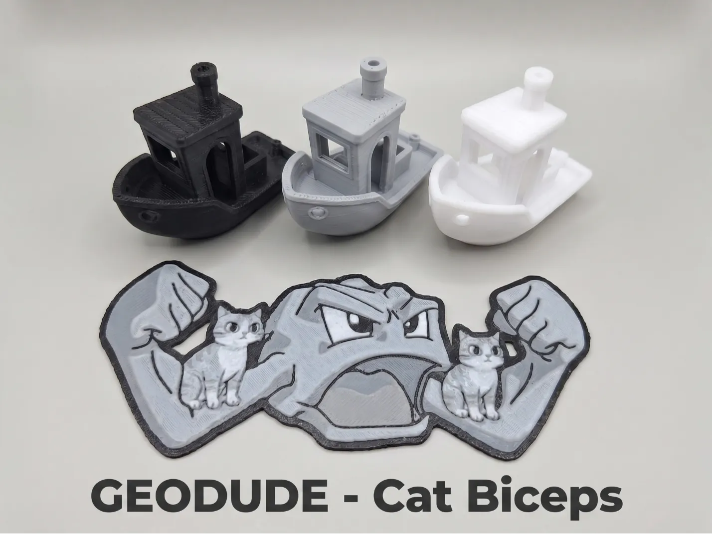 Pokemon - Geodude Cat Biceps