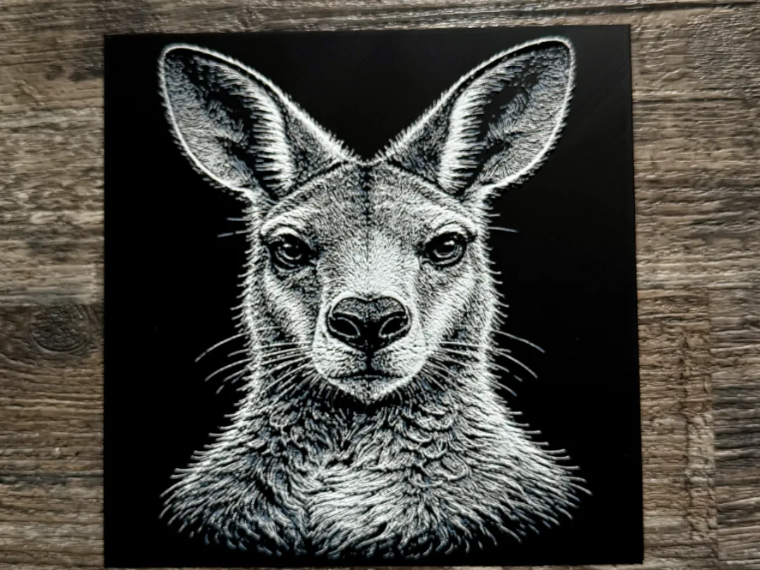 Kangaroo Wildlife Series