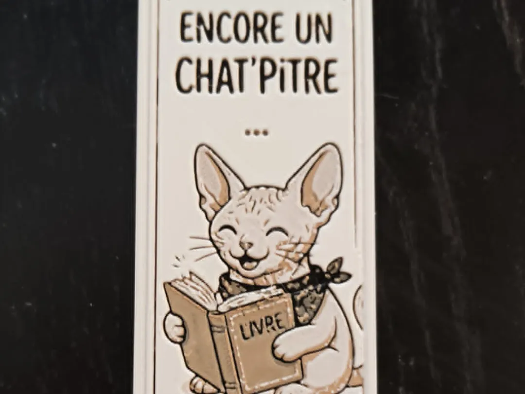 chat sphynx marque page hueforge