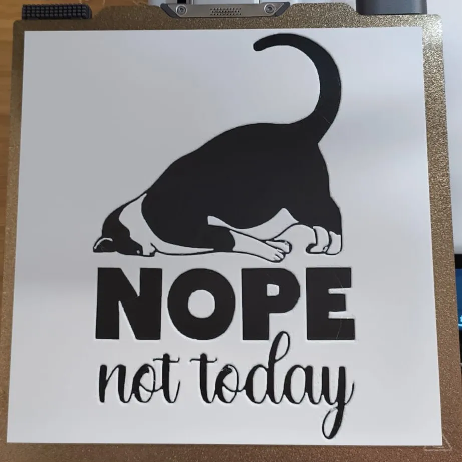 Nope not Today [Hue Forge]