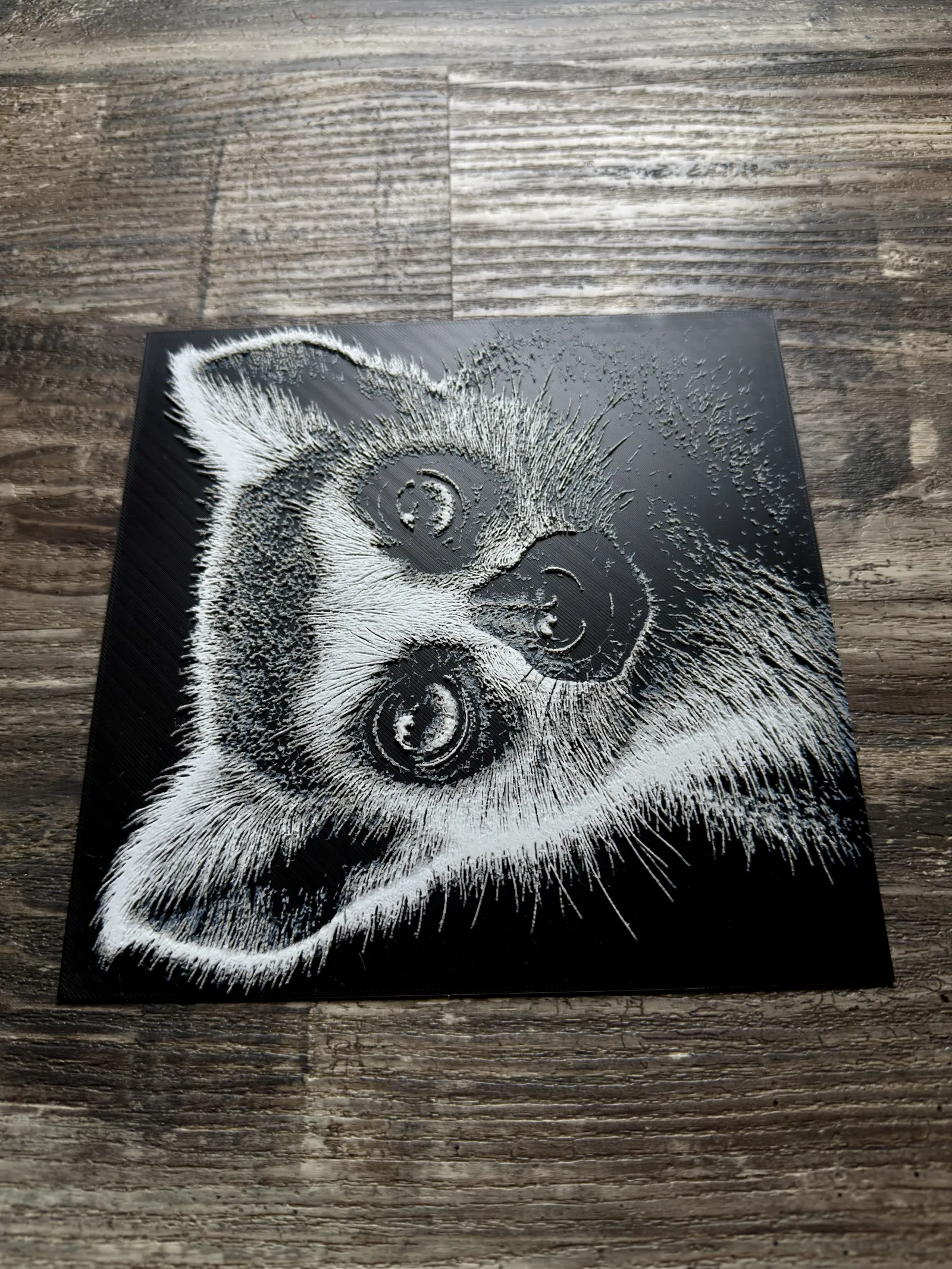 Ring-Tailed Lemur Wildlife Series