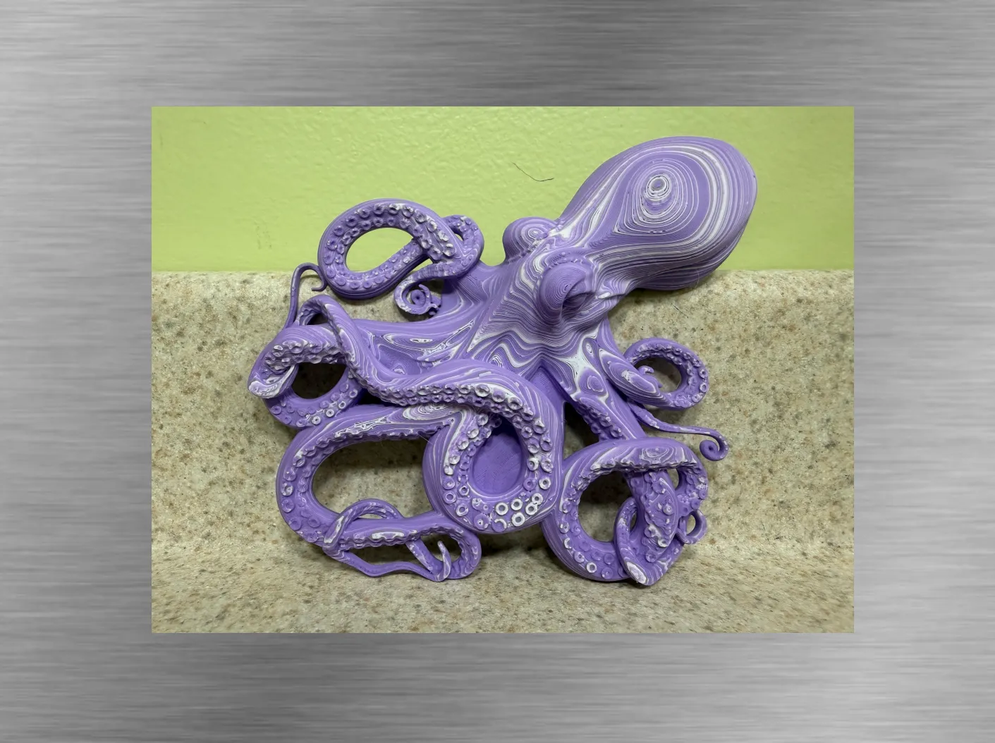 Octopus -Color Stacked Wall decoration