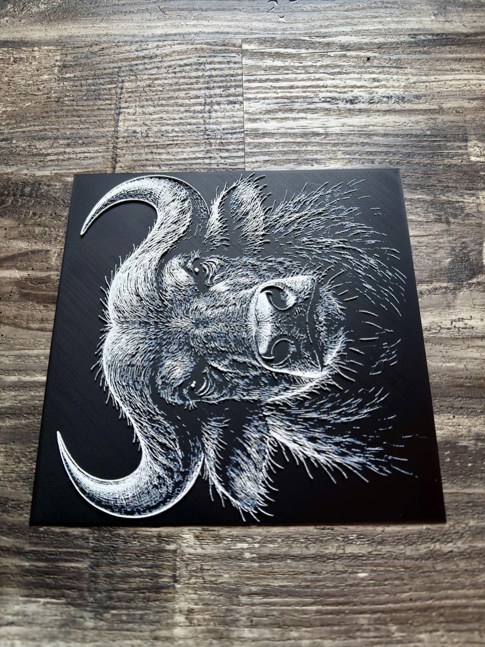 Water Buffalo Wildlife Series