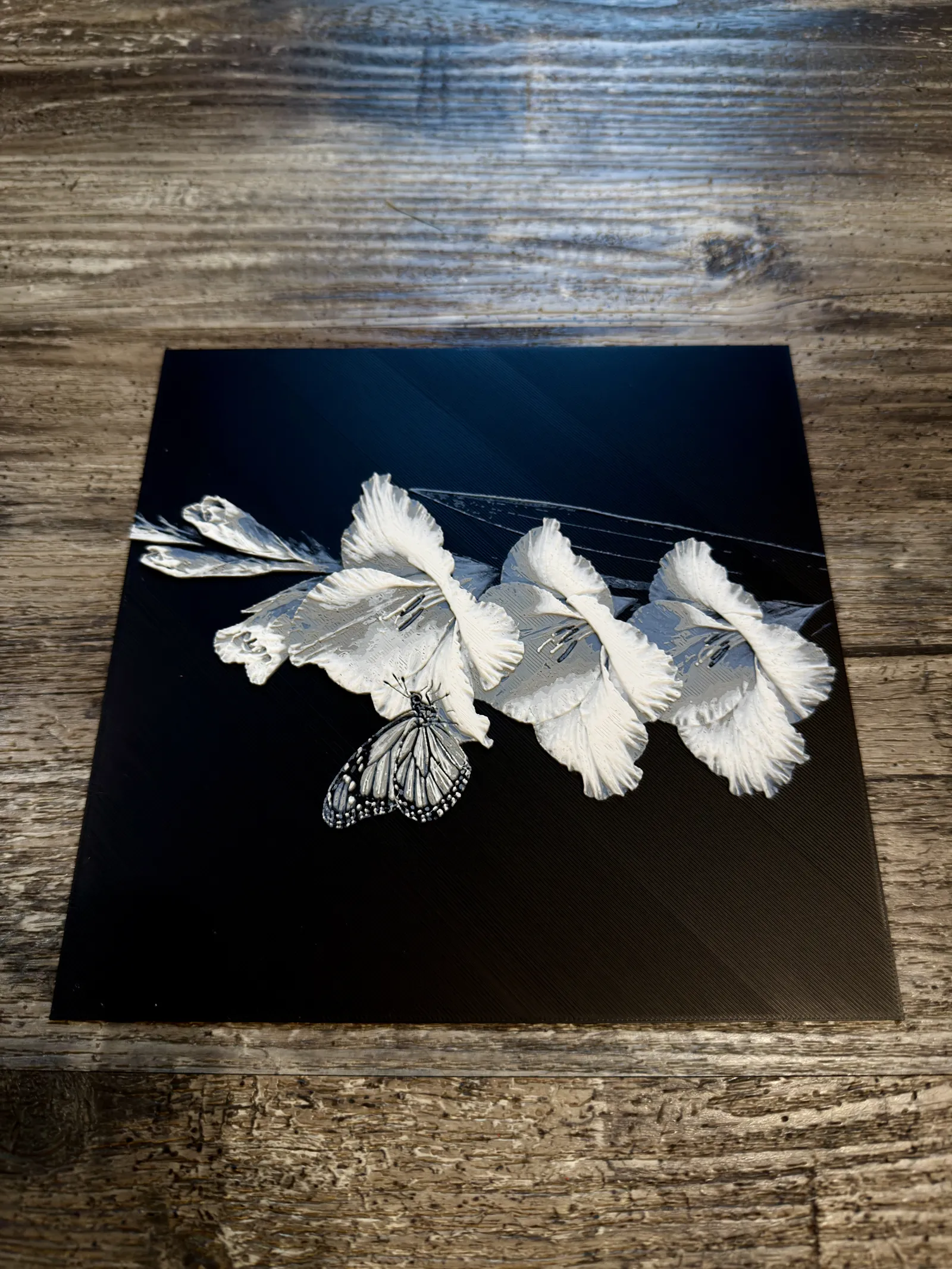 Gladiolus Flower Series