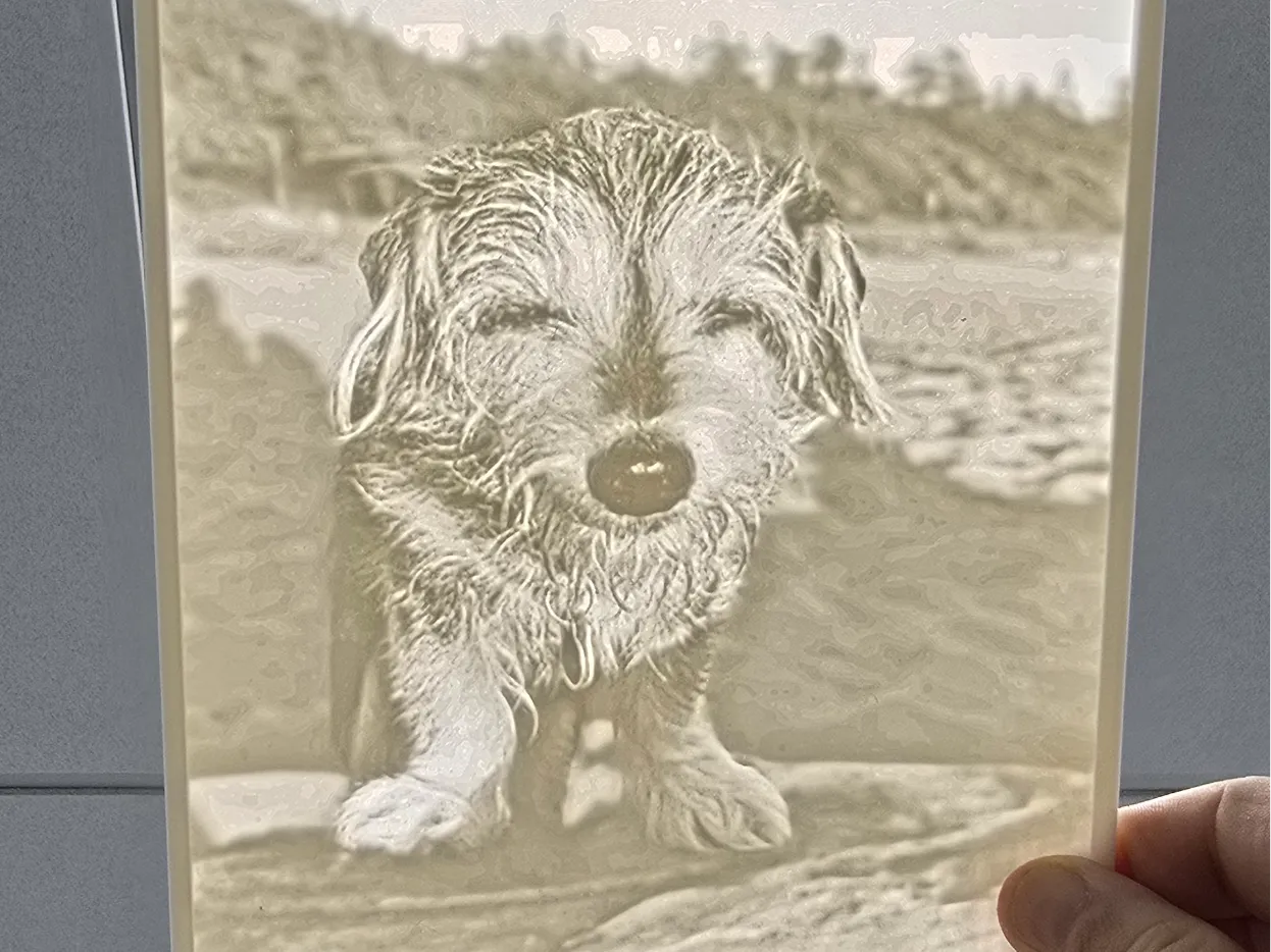 David's Dog
