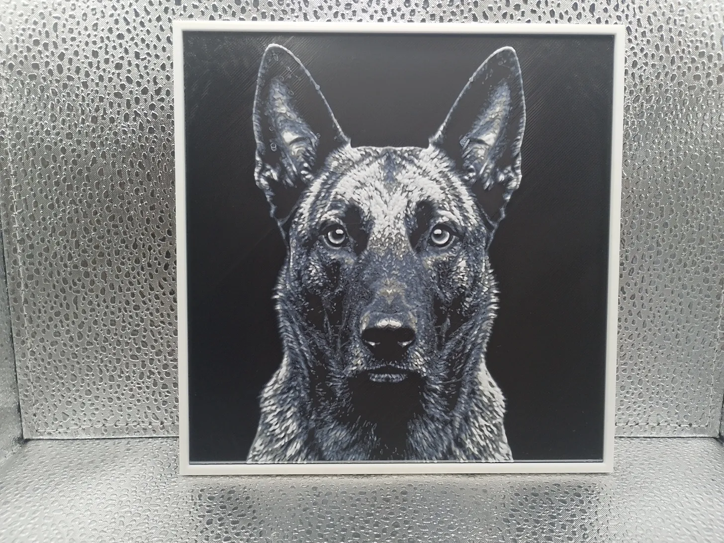 Dutch Shepherd - Hueforge