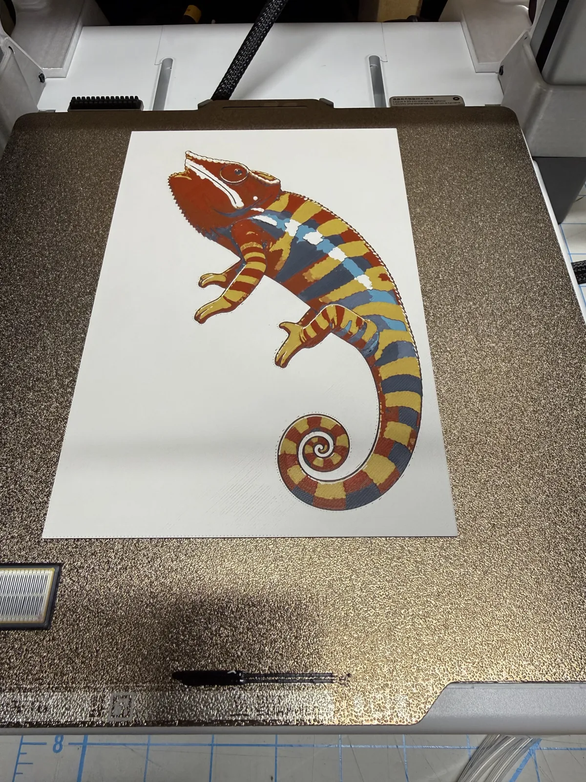 Panther Chameleon