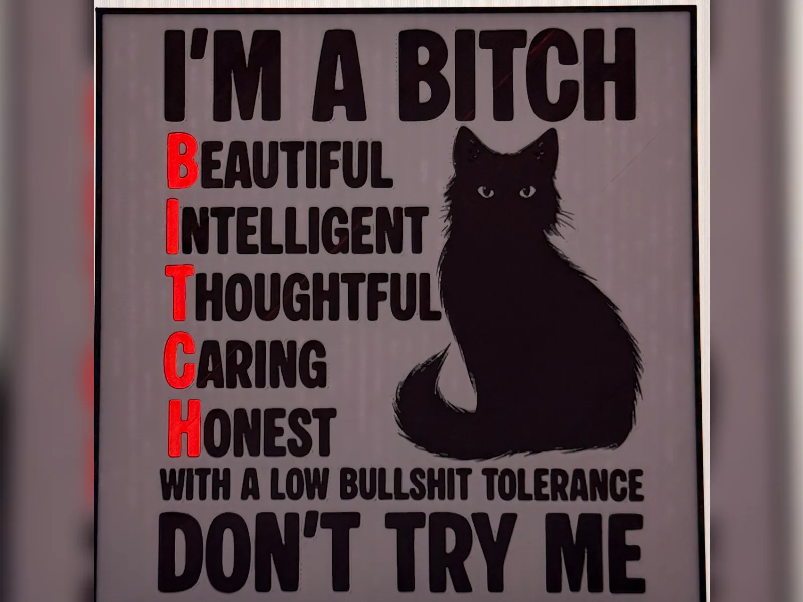 B.I.T.C.H. Cat HueForge Print
