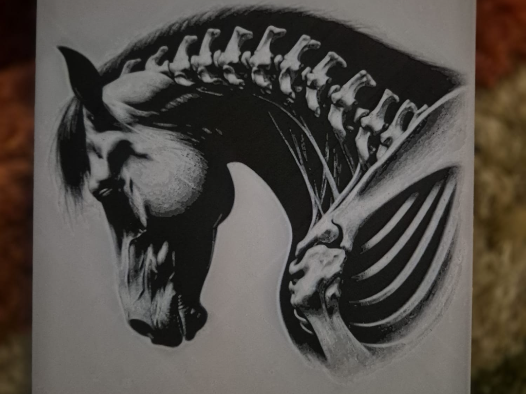 SKELETON HORSE HUEFORGE