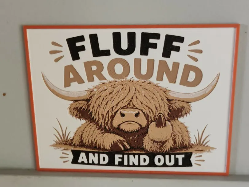 highland cattle cow no ams requis