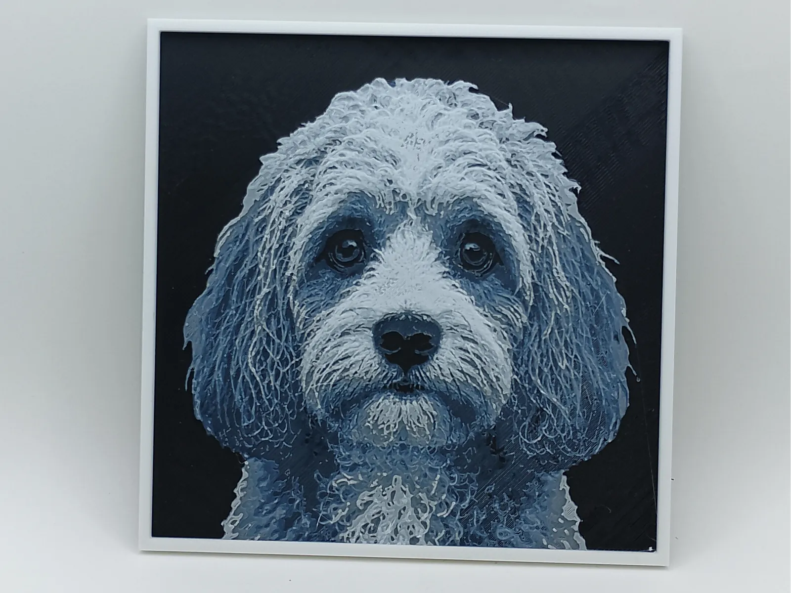 Cavapoo - Hueforge