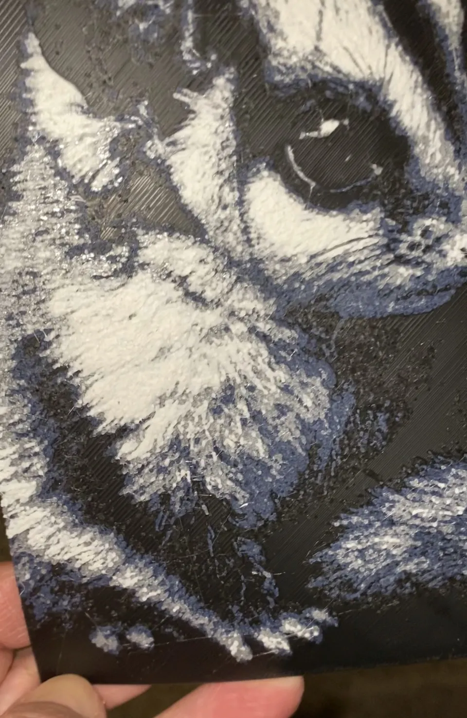 Sugar Gliders 8"x8" 4 Color Hue Forge