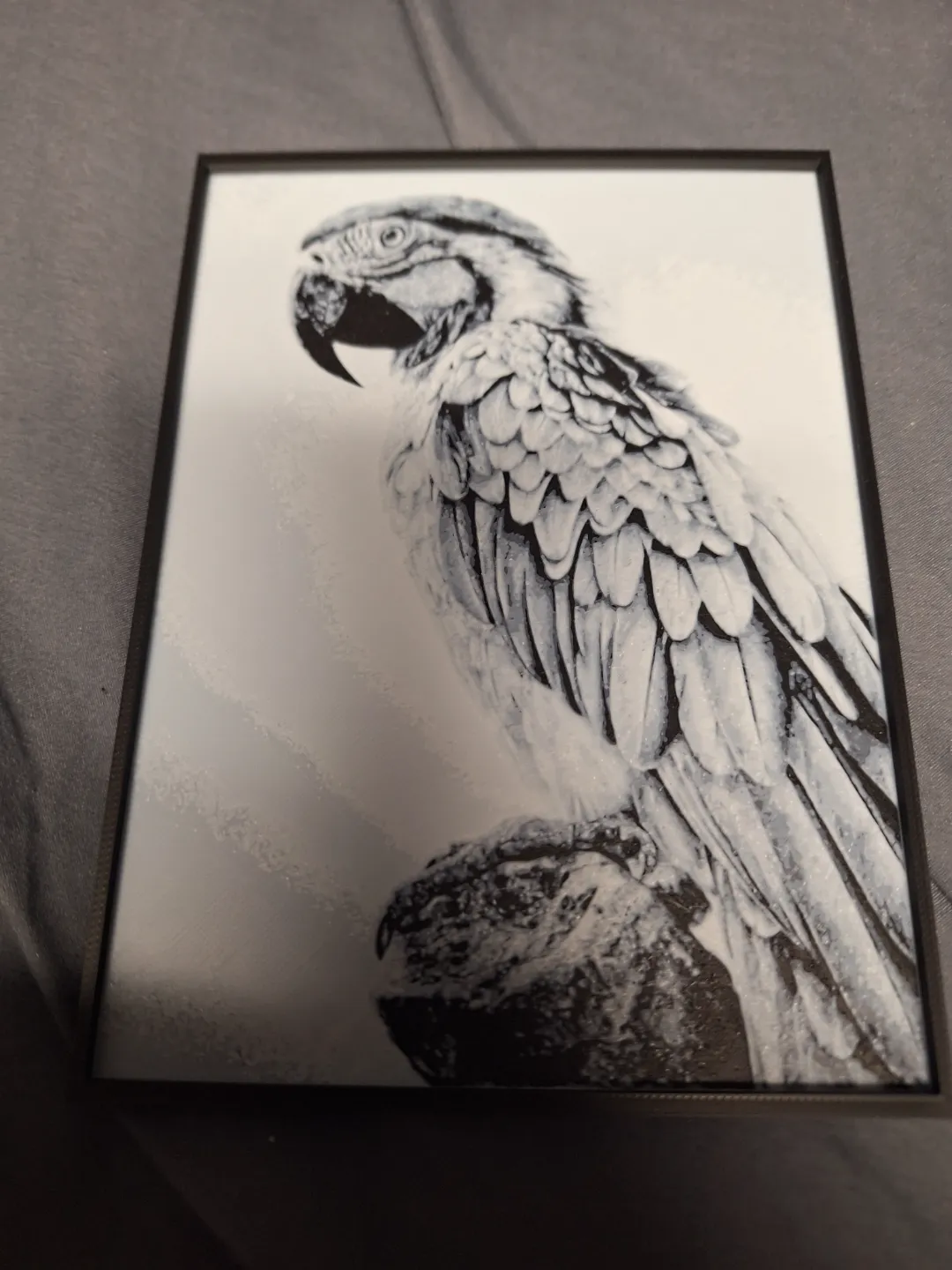 parrot Hue forge