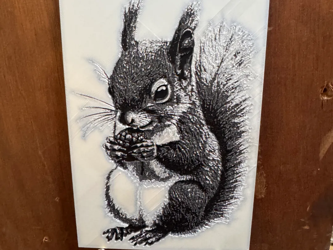 Squirrel