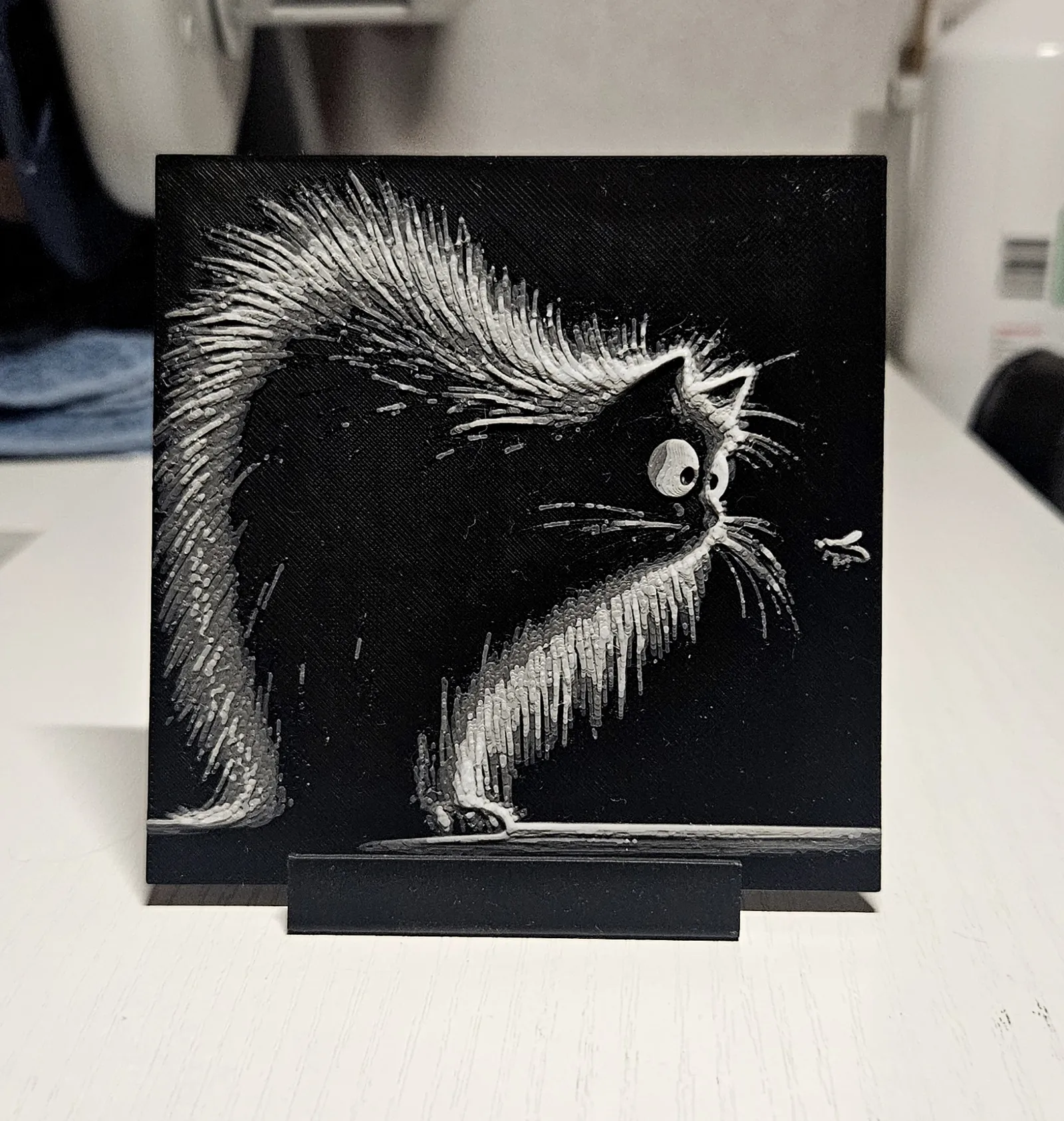 Another fluffy black cat