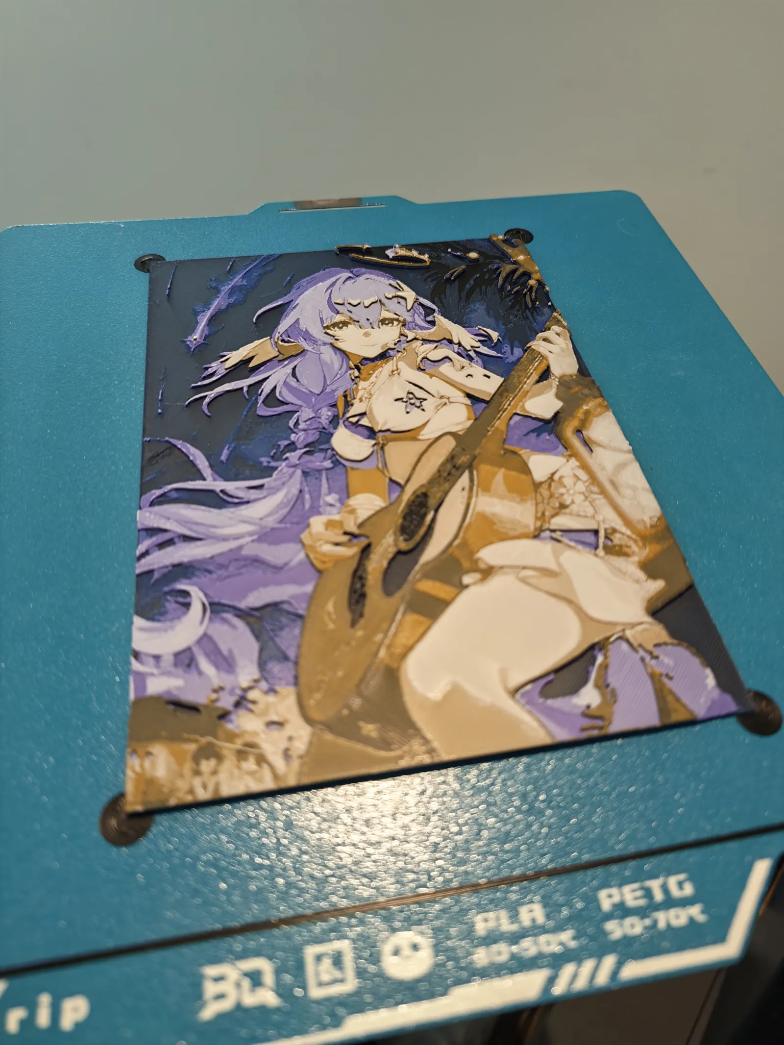 Robin Summeretto 知更鸟 : Honkai Star Rail 崩坏星穹铁道