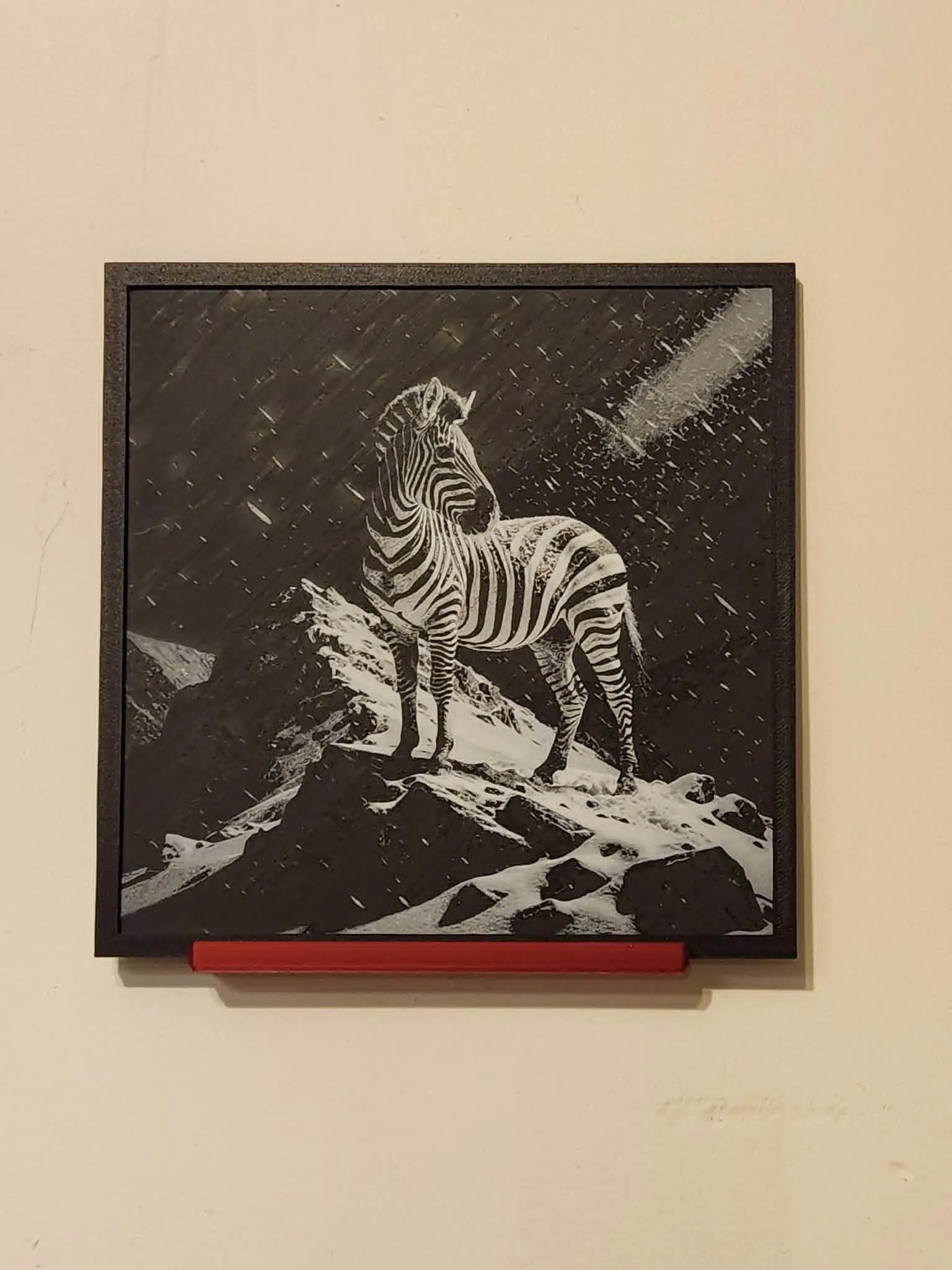 Snow Zebra HueForge