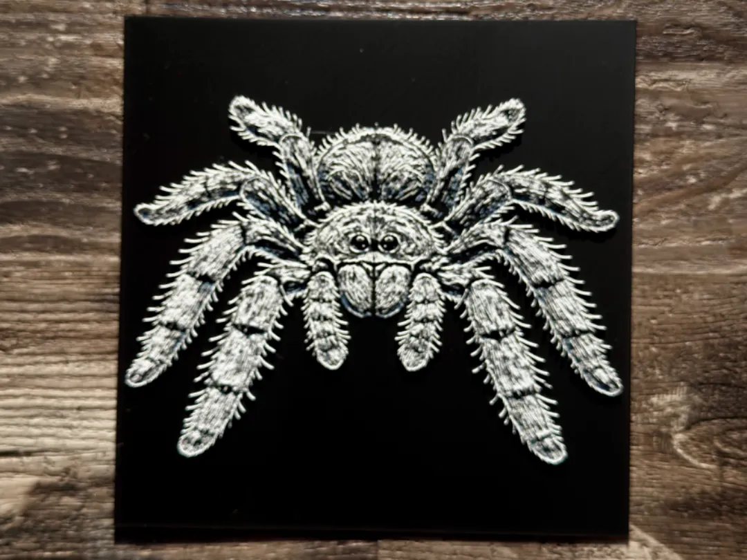 Tarantula Spider Wildlife Series