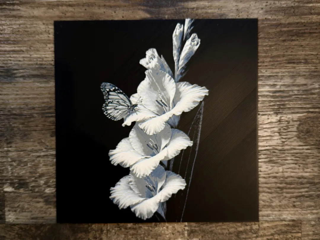 Gladiolus Flower Series