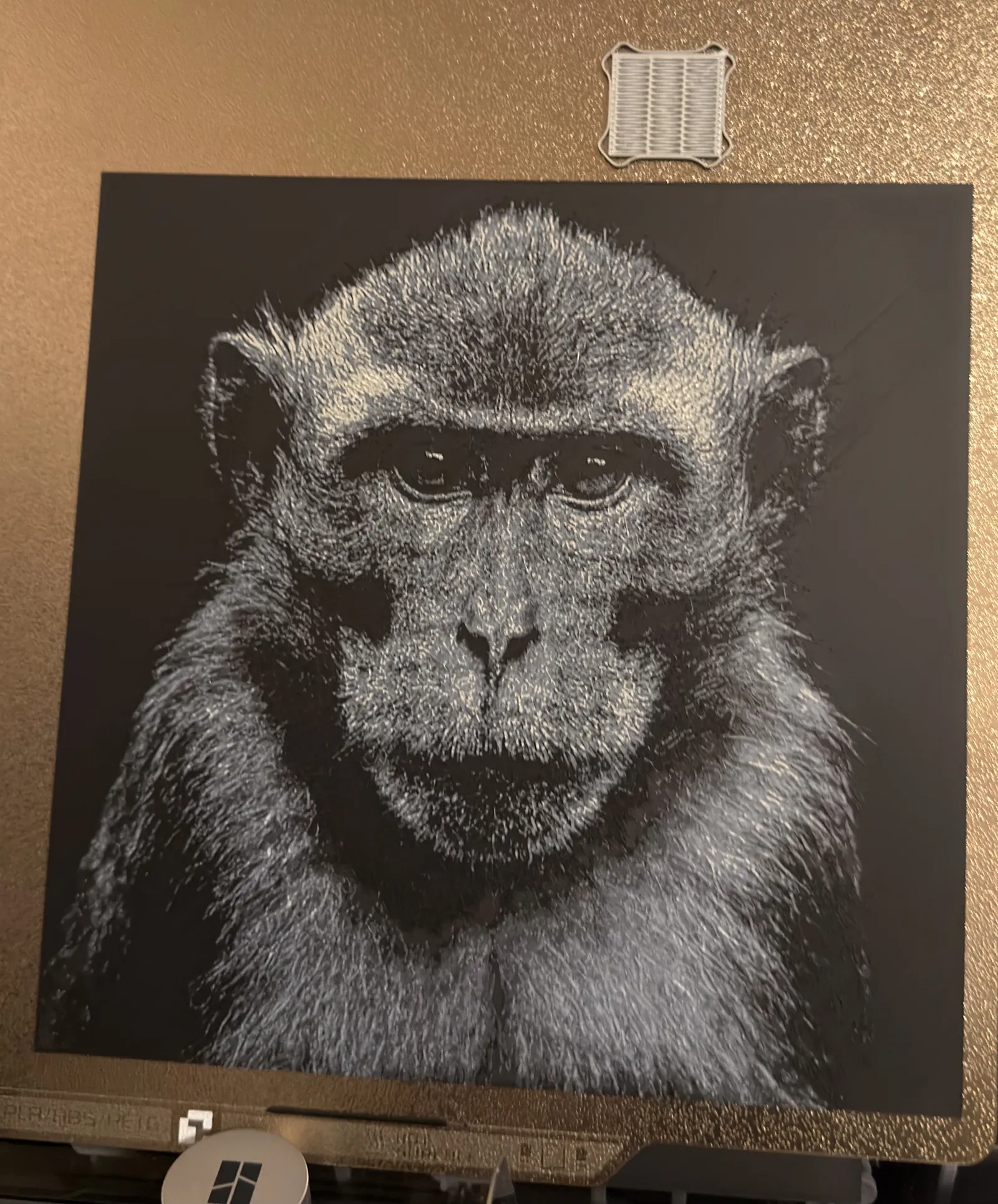 Hueforge Monkey