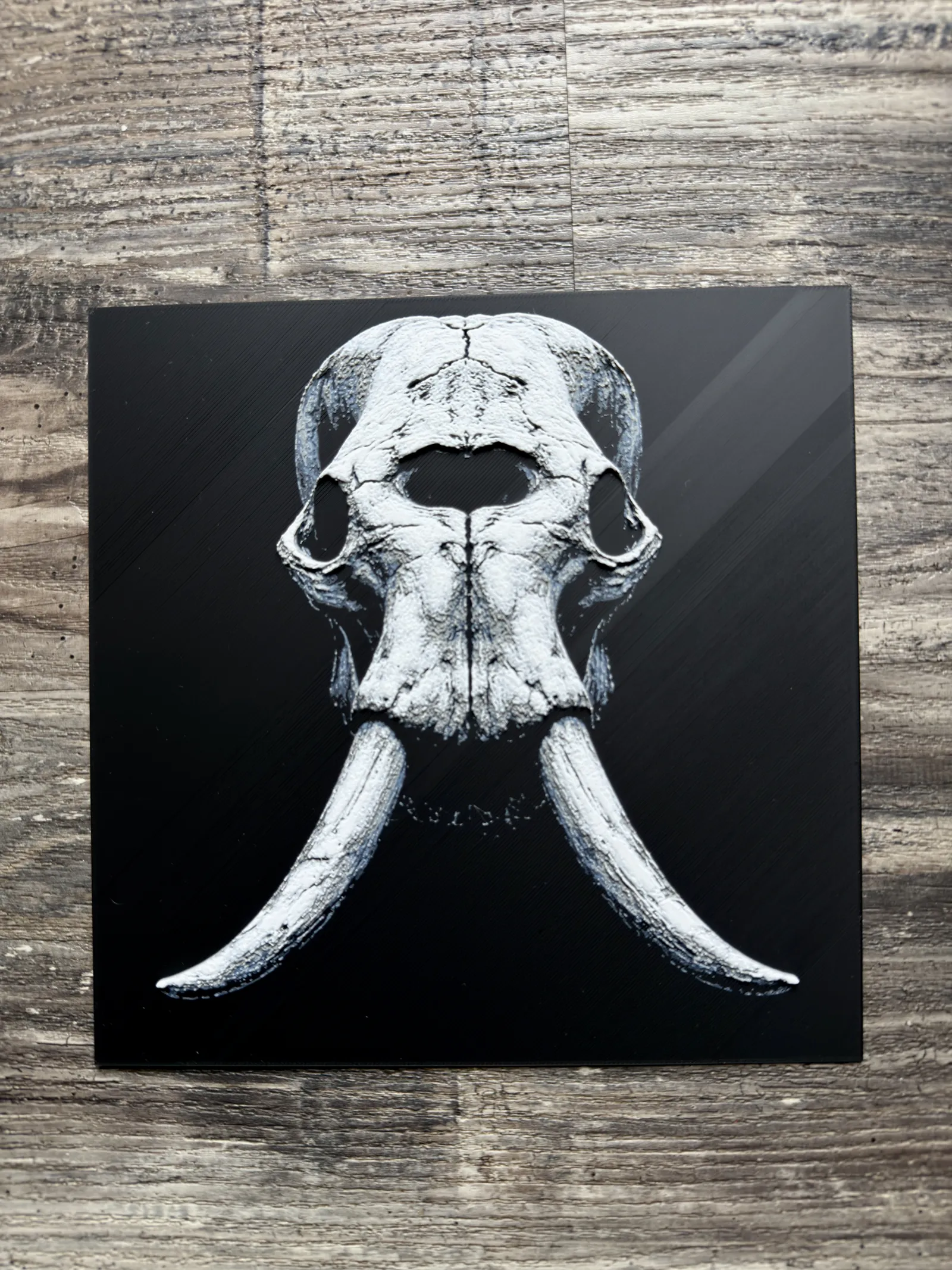 Elephant Skull Series