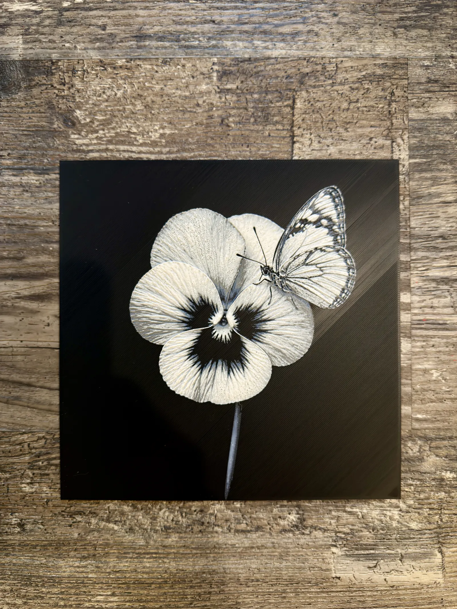 Violet with butterfly Flower Series