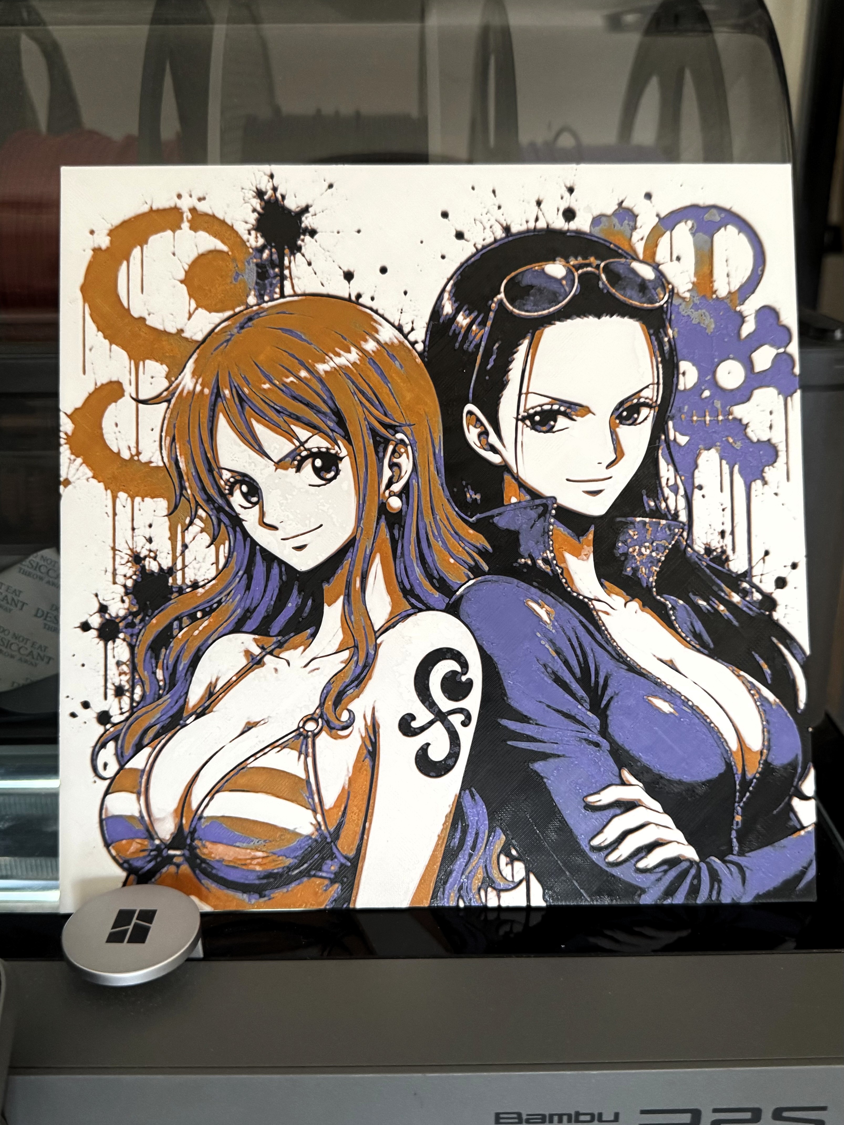 One Piece Nami & Robin Hueforge