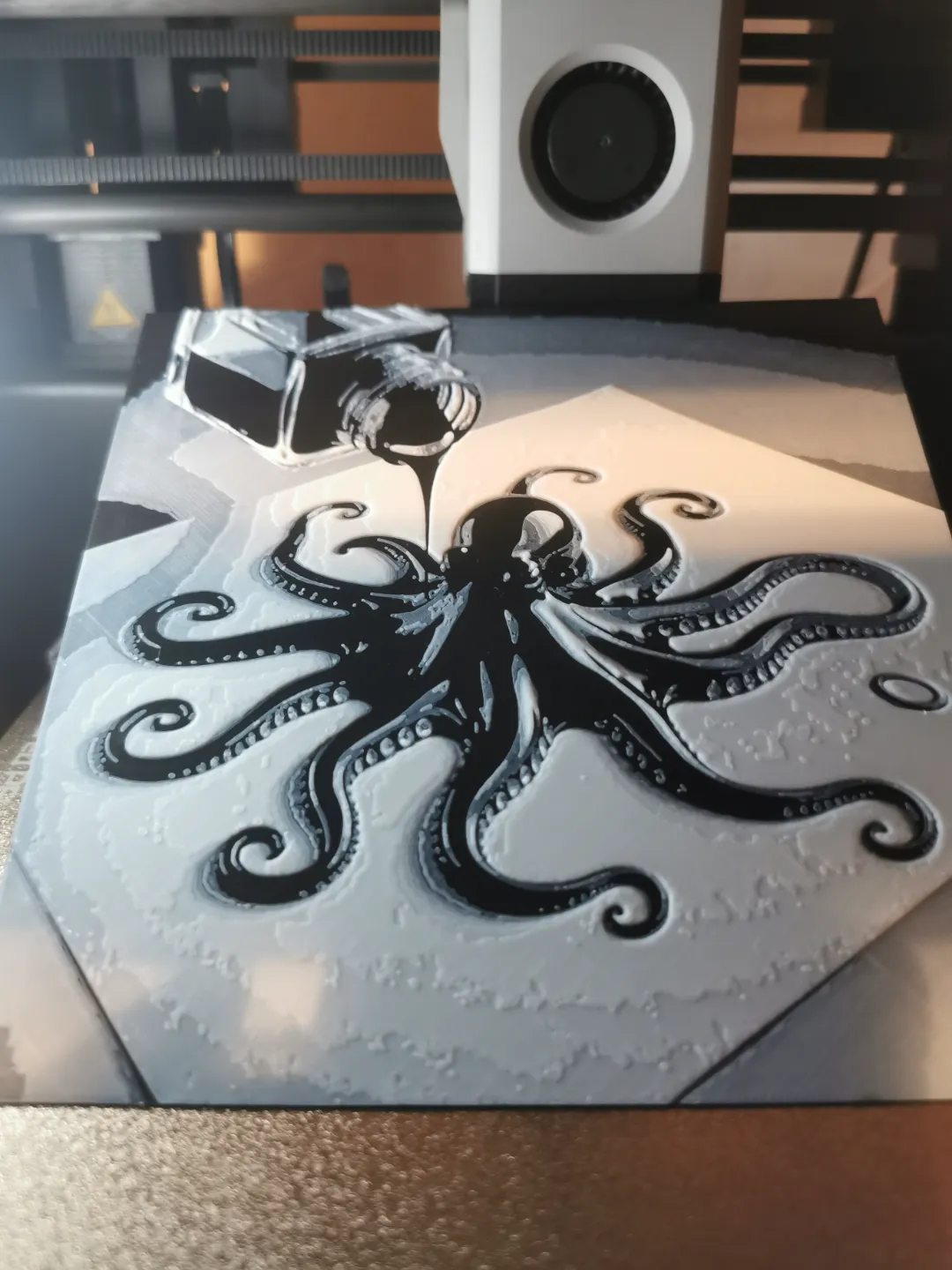 Octopus