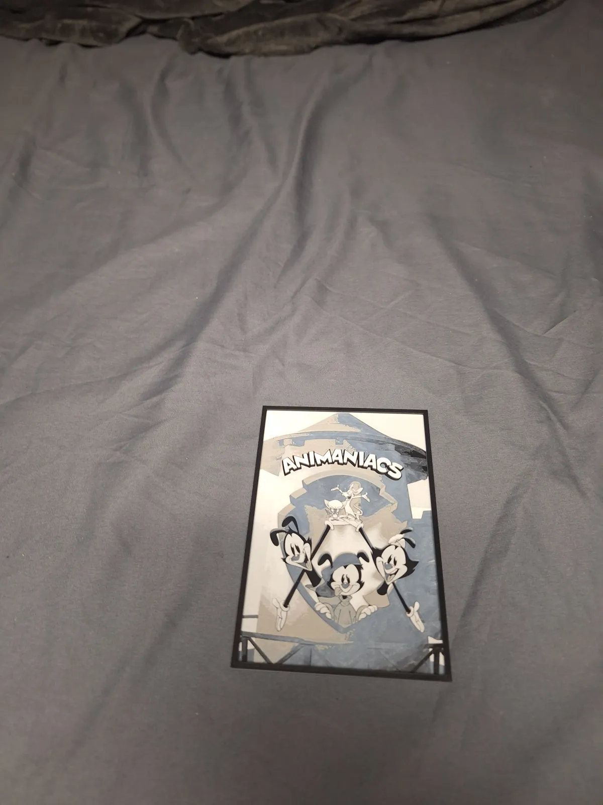 Animaniacs Logo