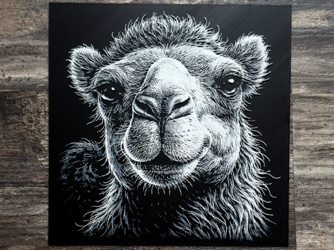 Camel Wildlife Series
