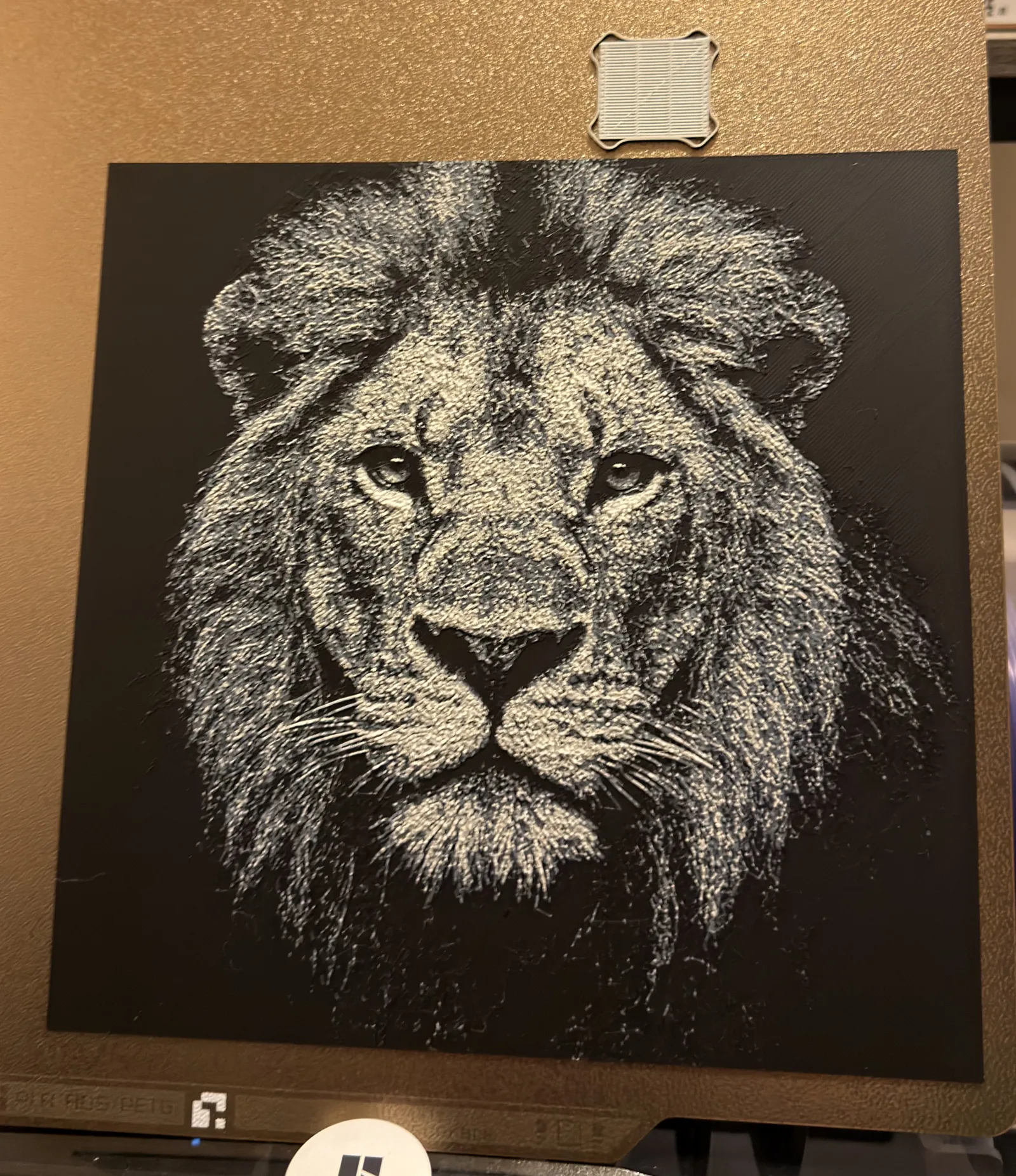 Hueforge Lion
