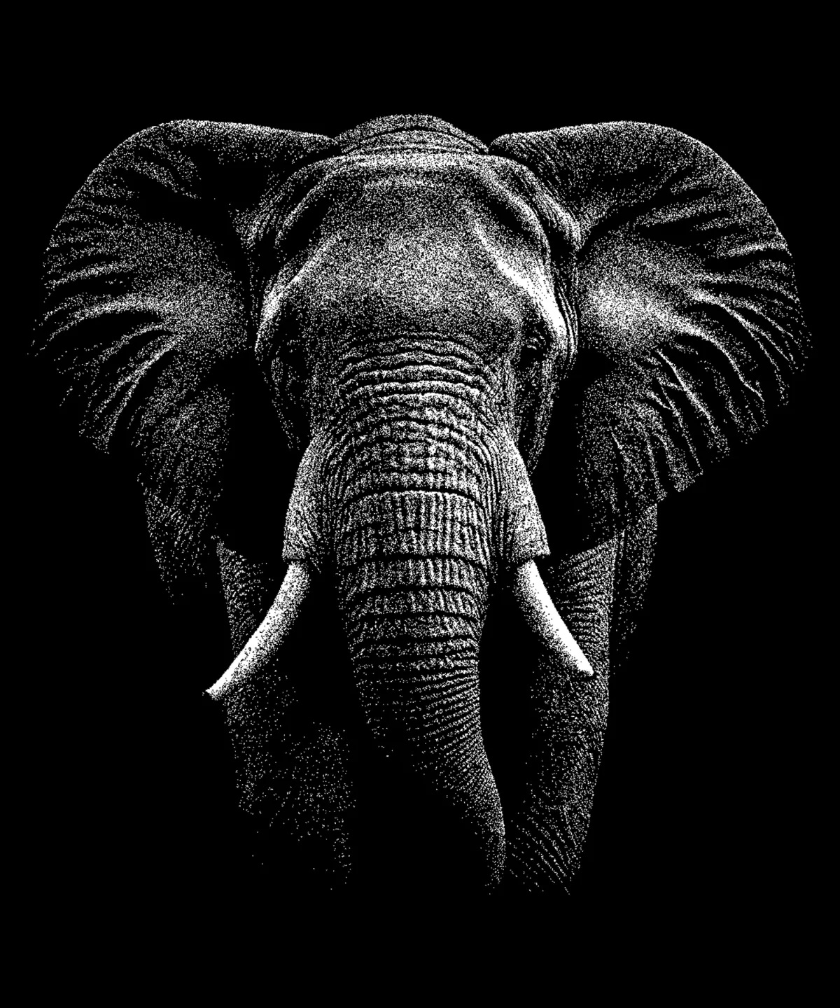 Original Elephant Hueforge in Black and White | Animal realistiv Portrait Photography Wall Art
