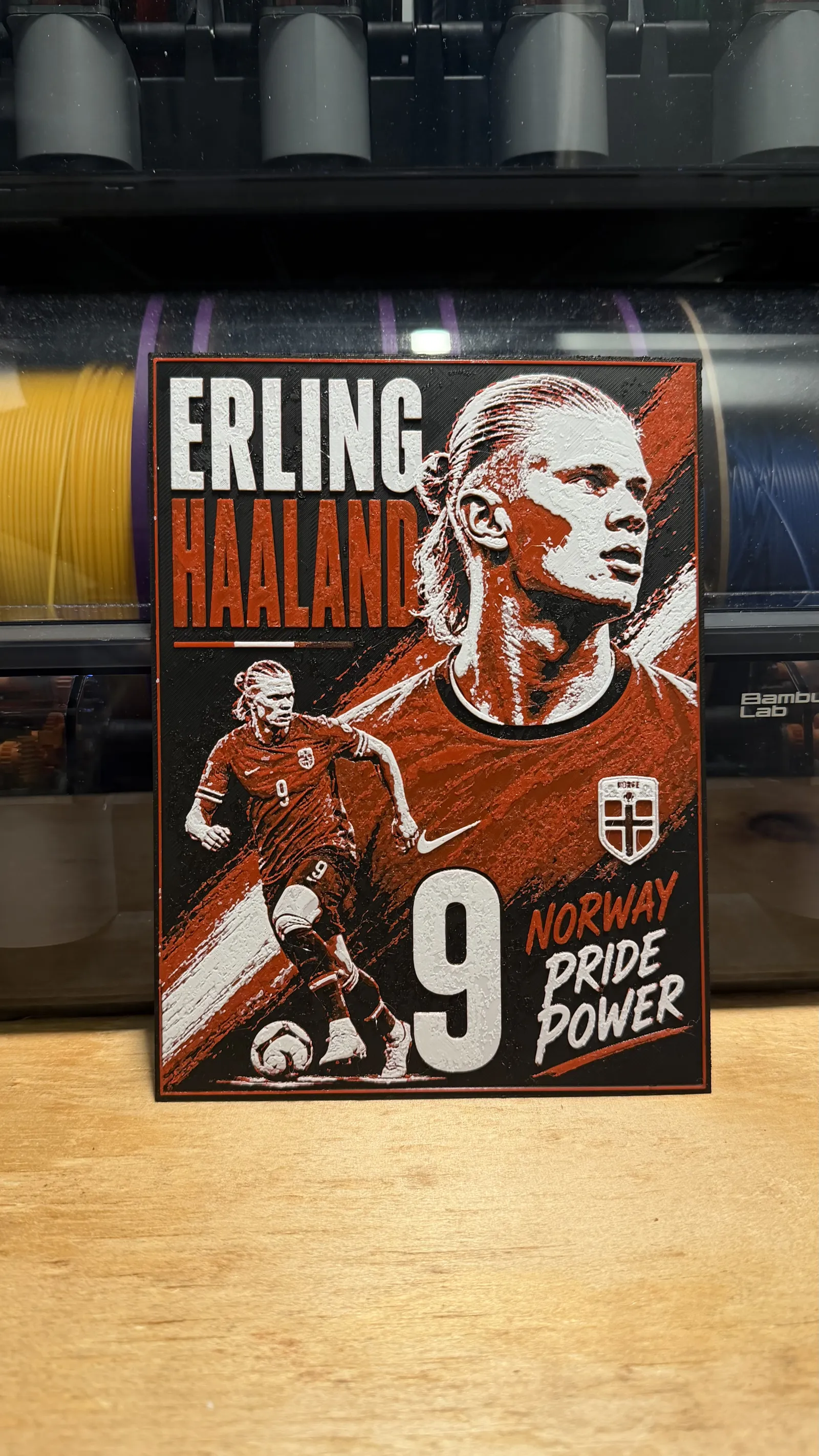 Norway Erling Haaland World Cup Poster HueForge