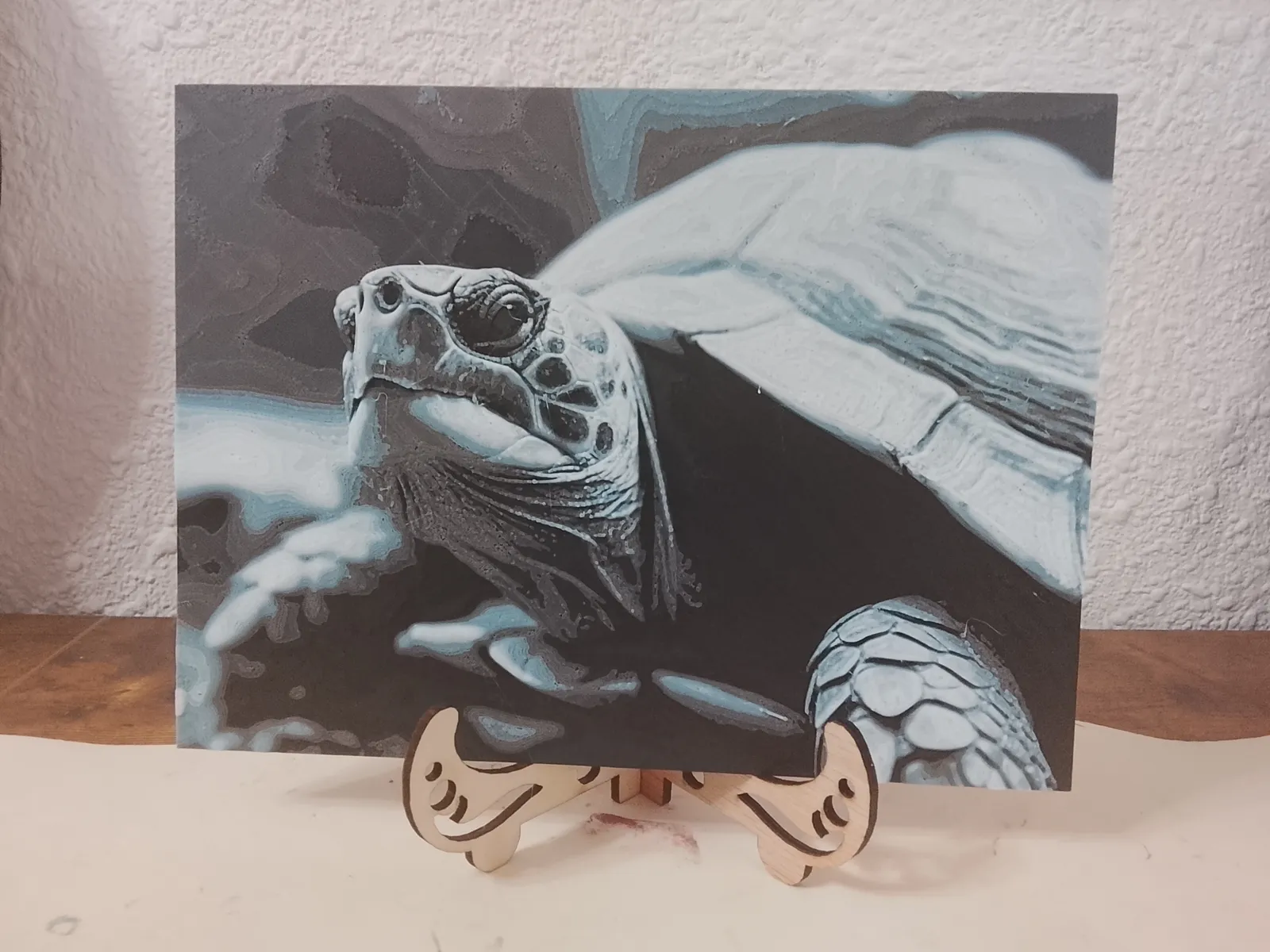 Tortuga