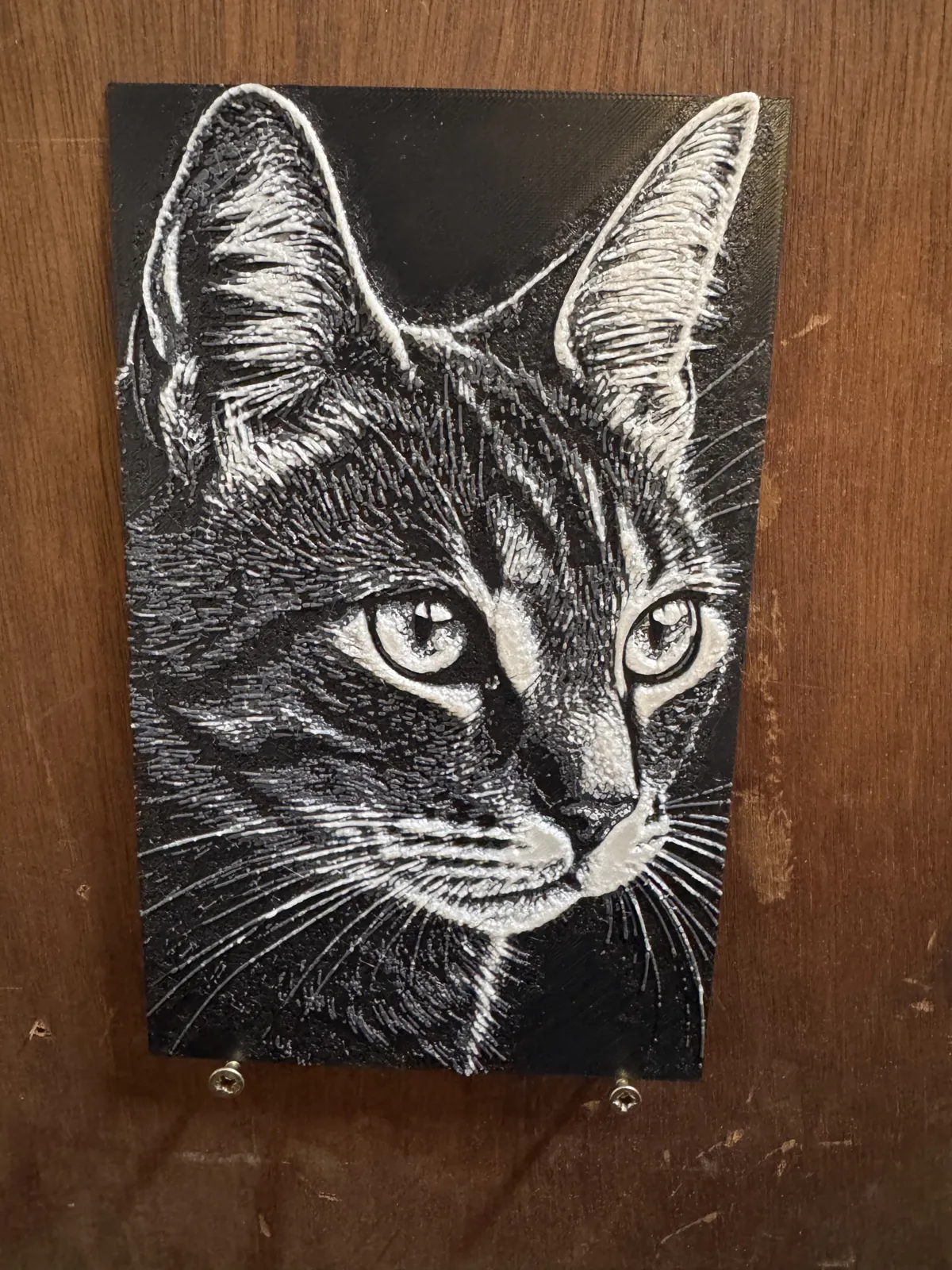 cat HueForge