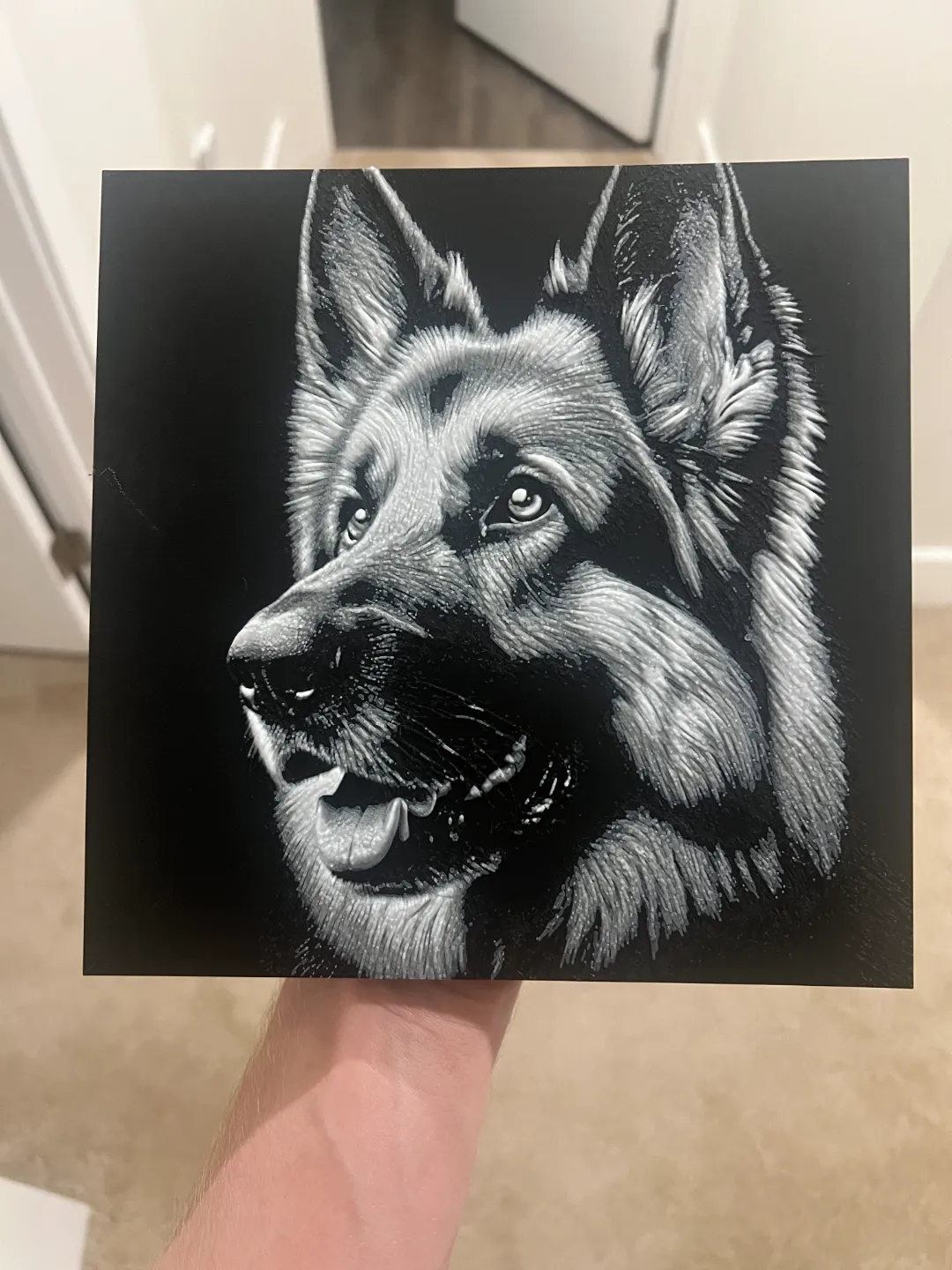German Shepherd
