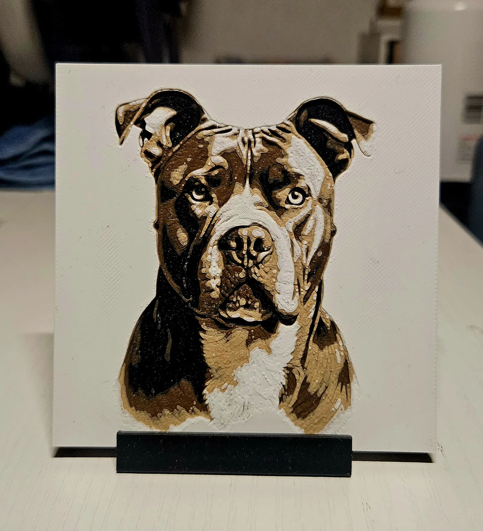 Stafford dog