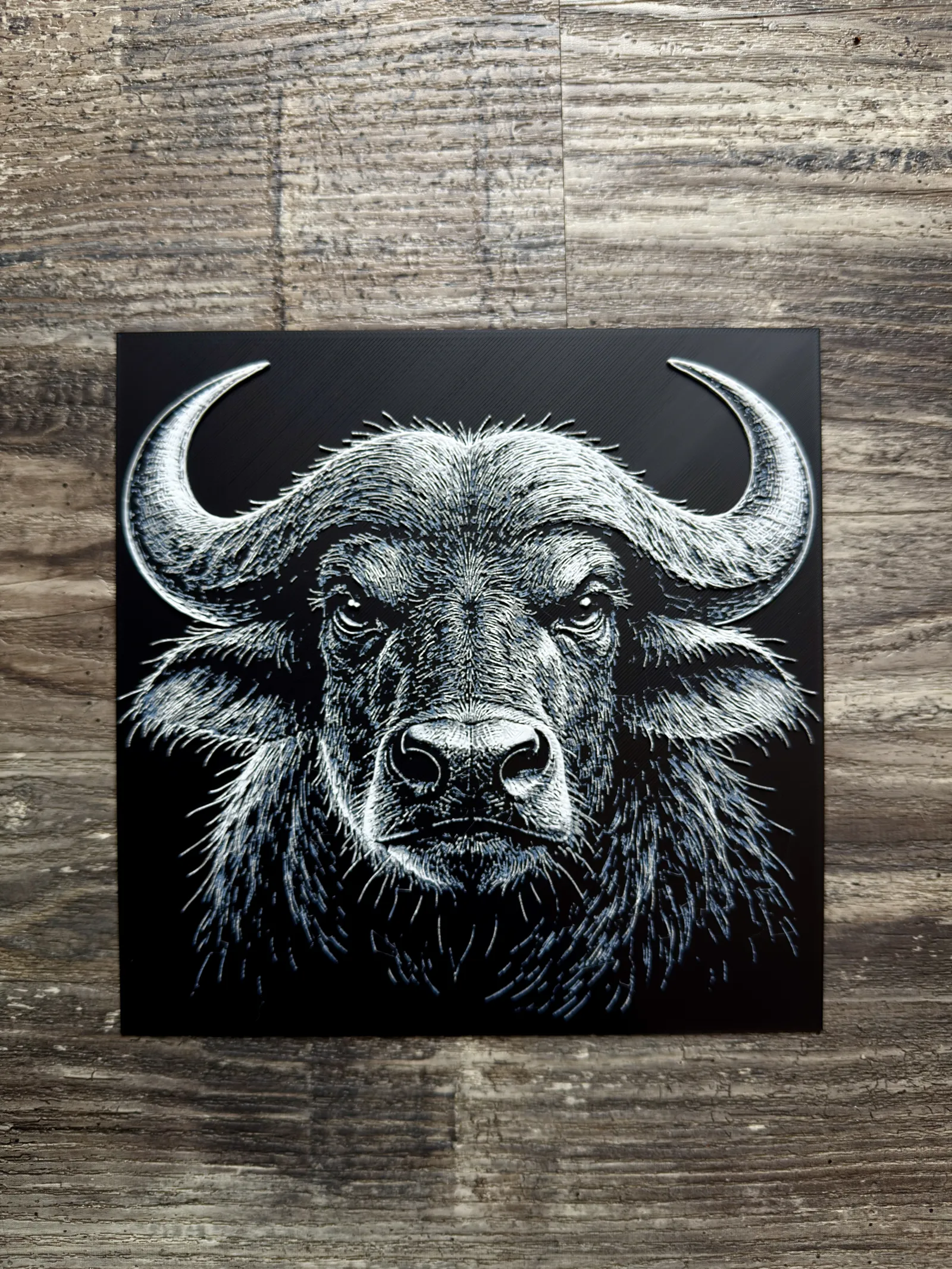 Water Buffalo Wildlife Series